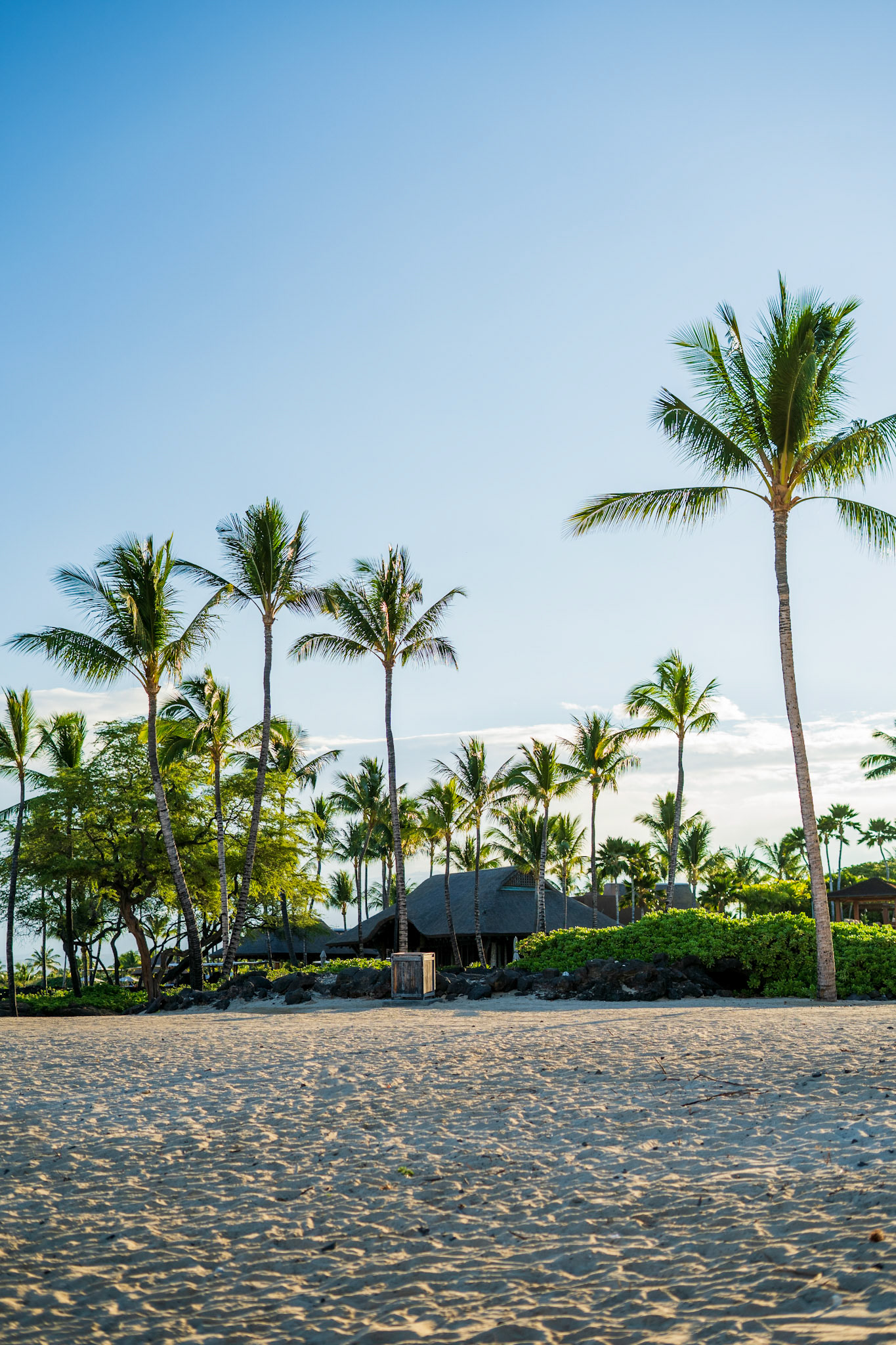 Island of Hawaii