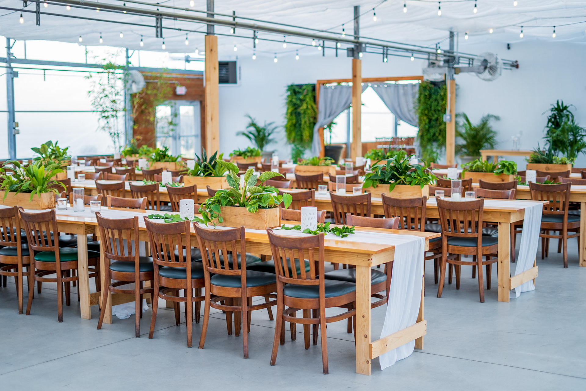 Atreeum - Wedding Venue (Wichita, KS)