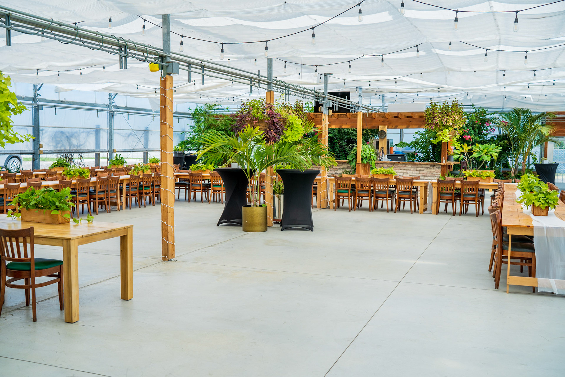 Atreeum - Wedding Venue (Wichita, KS)