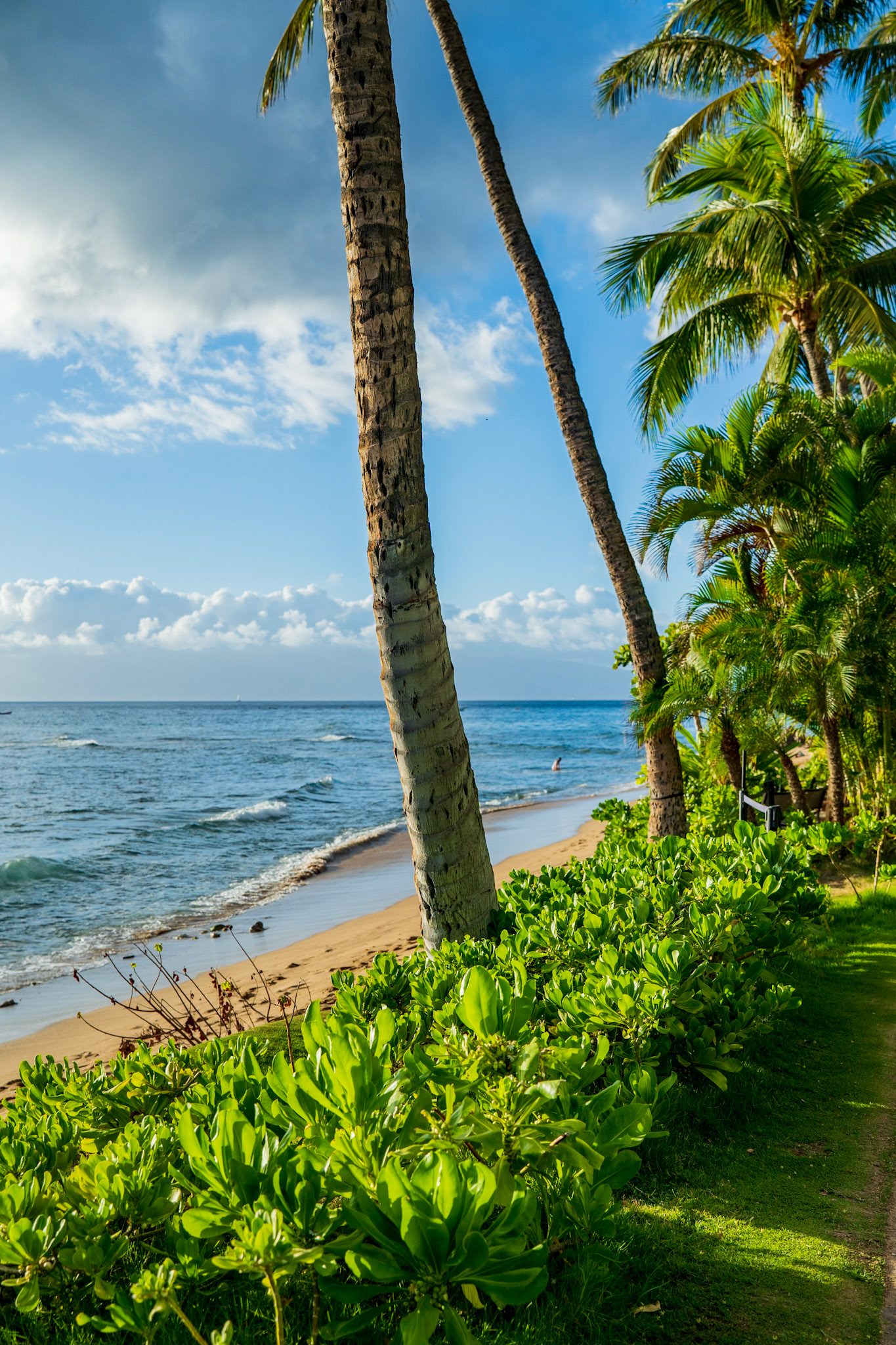 Maui