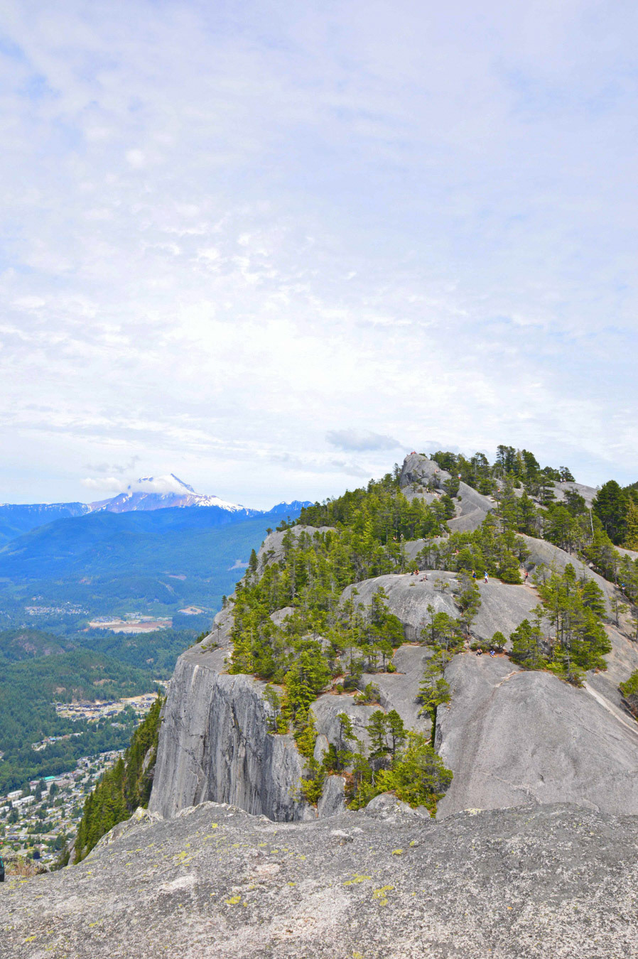 Whistler