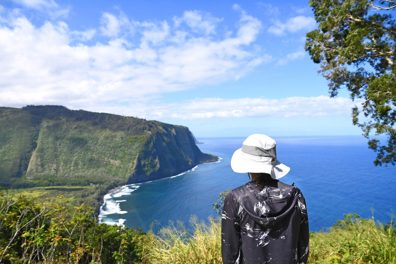 Island of Hawaii