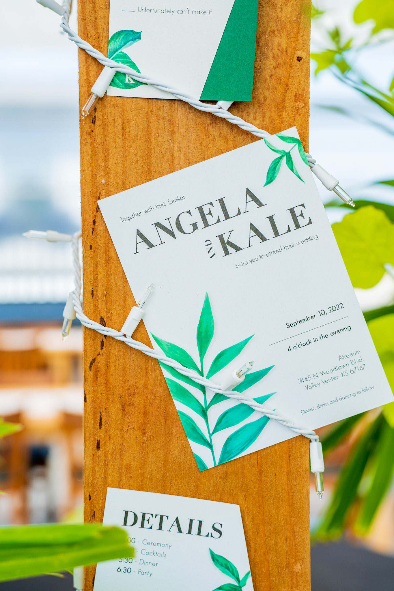 Tara Unruh - Strategic Design and Marketing Expert (Wichita, KS)