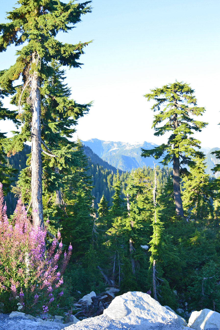 Vancouver