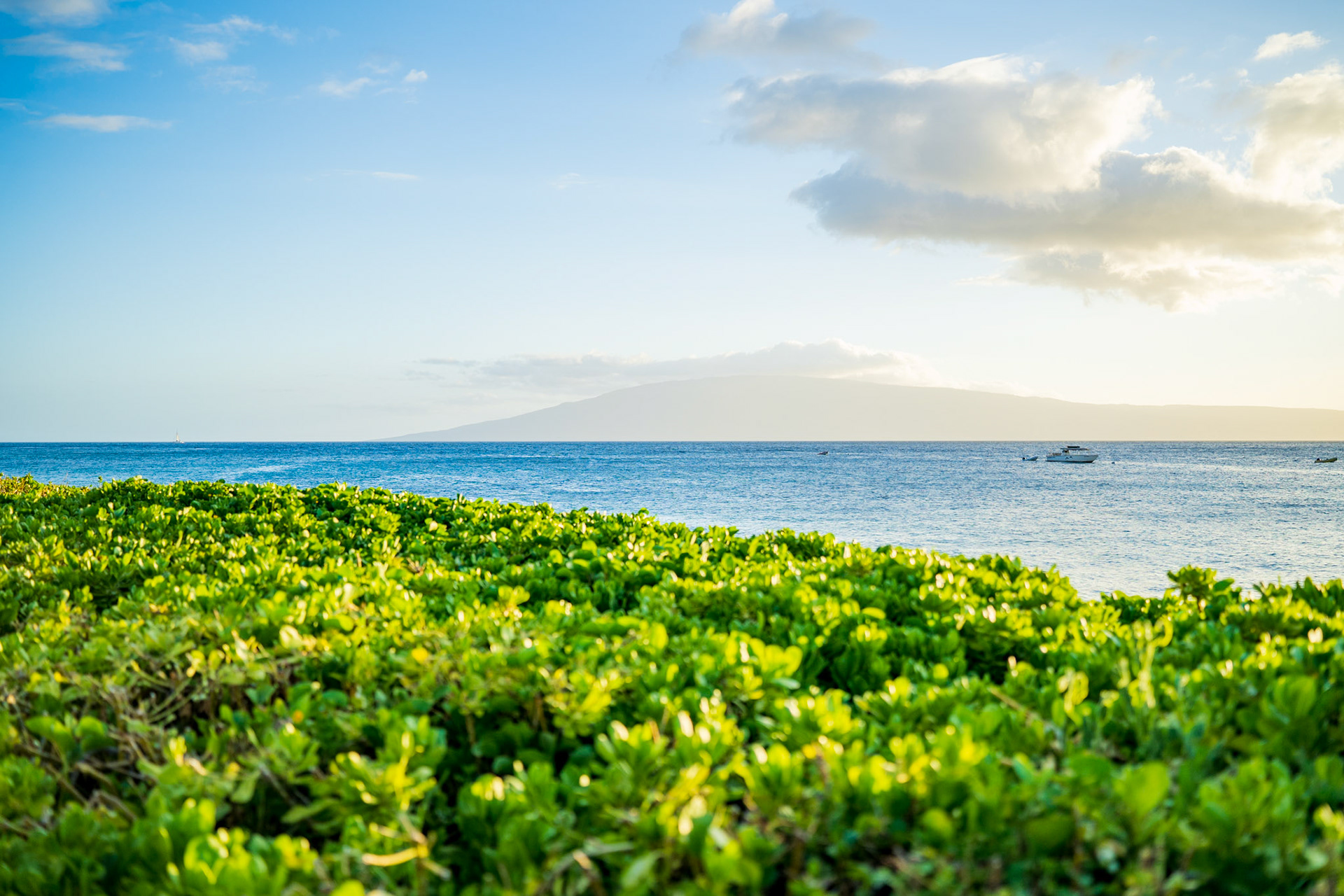 Maui