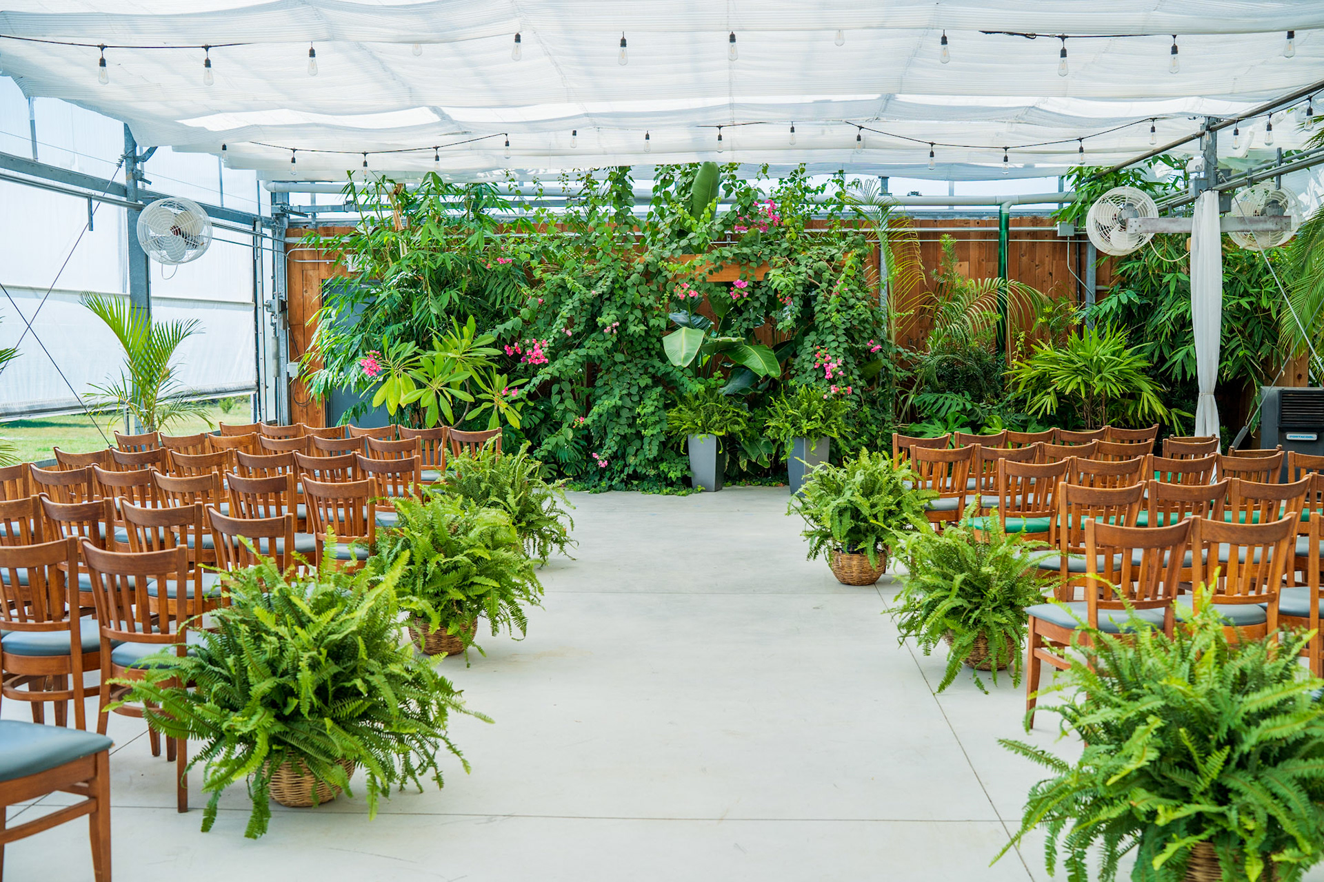 Atreeum - Wedding Venue (Wichita, KS)