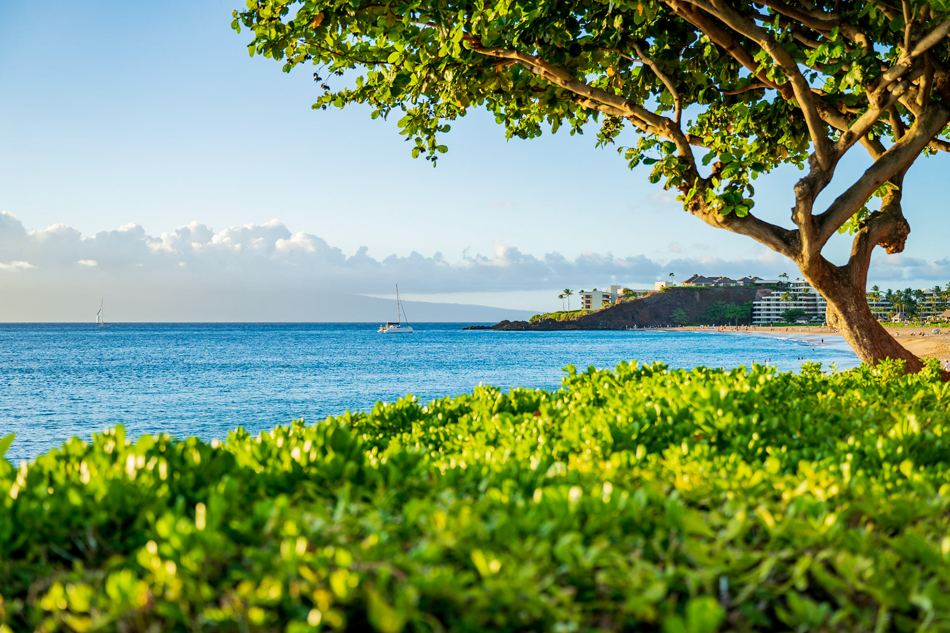 Maui
