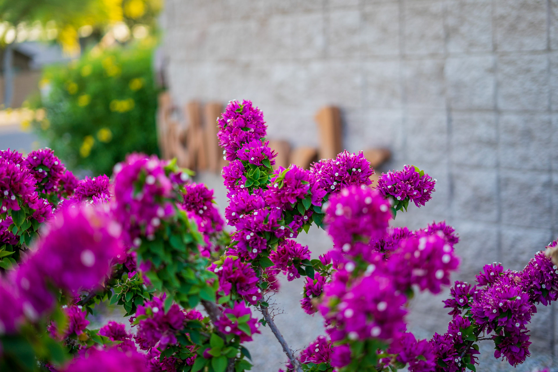 Tatum Highlands (Phoenix, AZ)