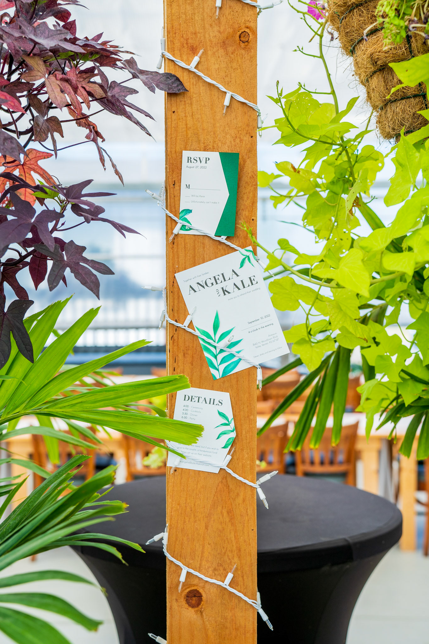 Tara Unruh - Strategic Design and Marketing Expert (Wichita, KS)