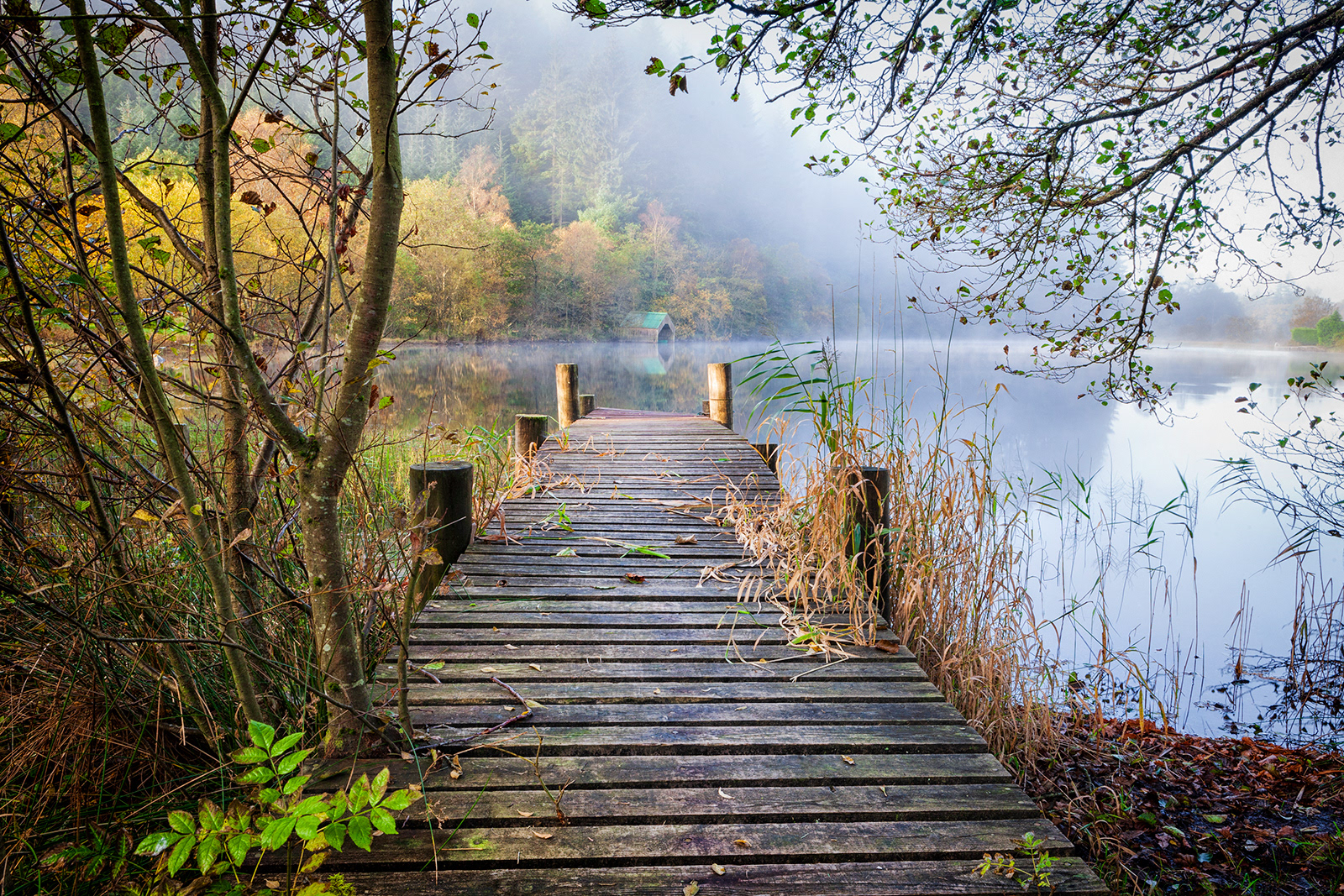 LOCH ARD
