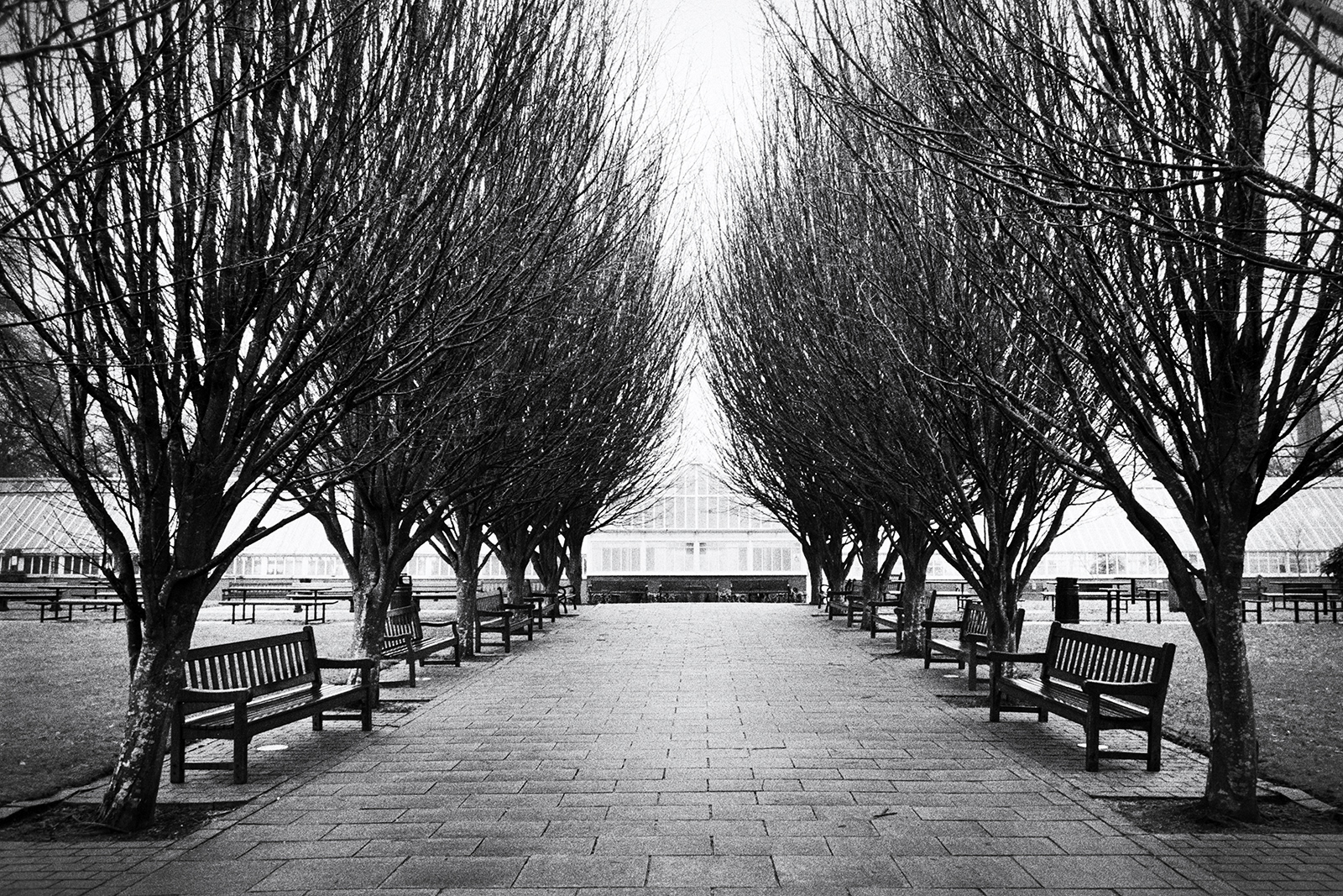 QUEENS PARK