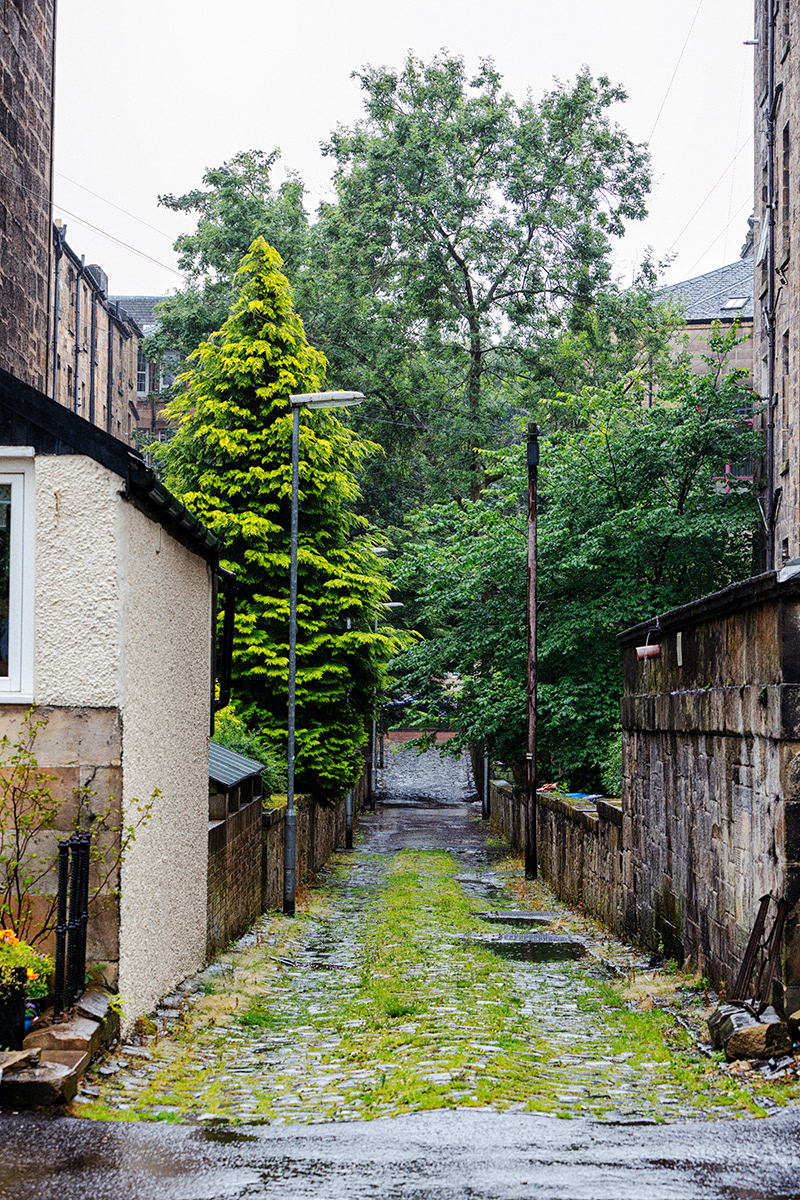 PARK GROVE TERRACE LANE
