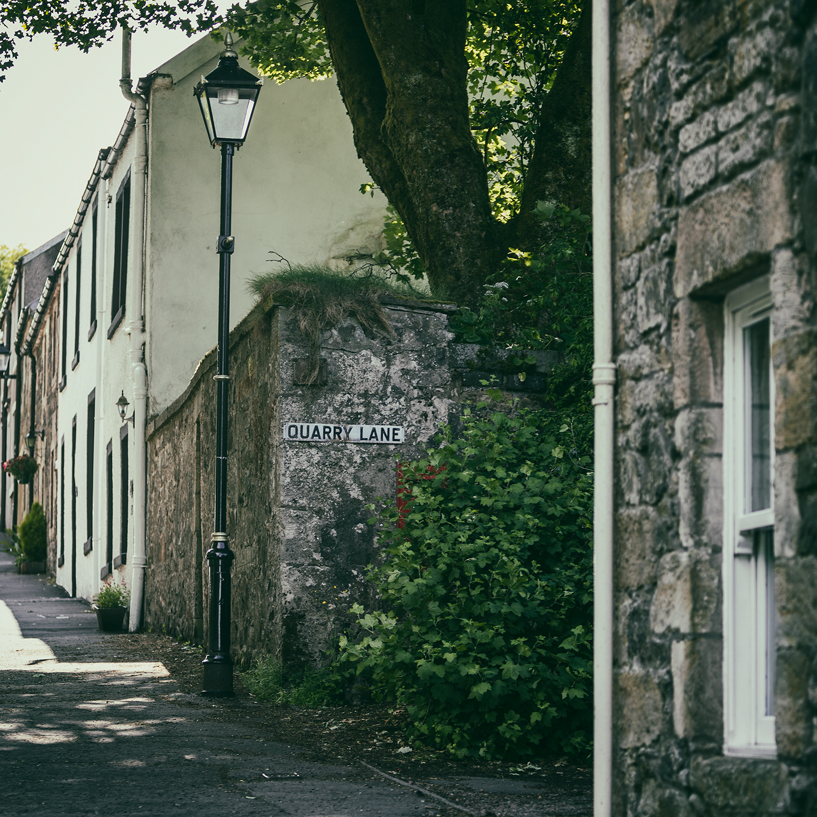 EAGLESHAM - QUARRY LANE