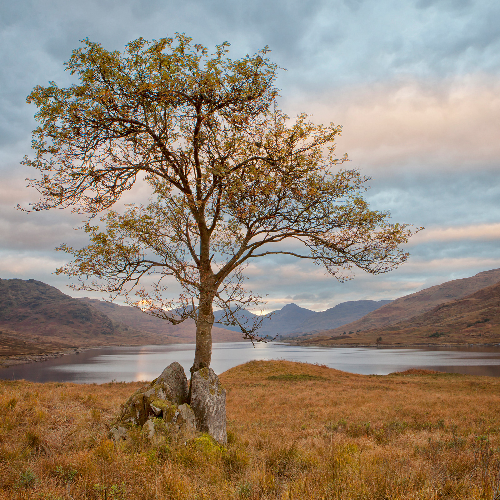 LOCH ARKLET
