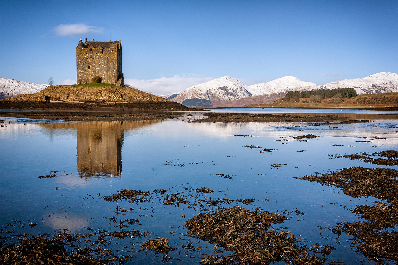 CASTLE STALKER