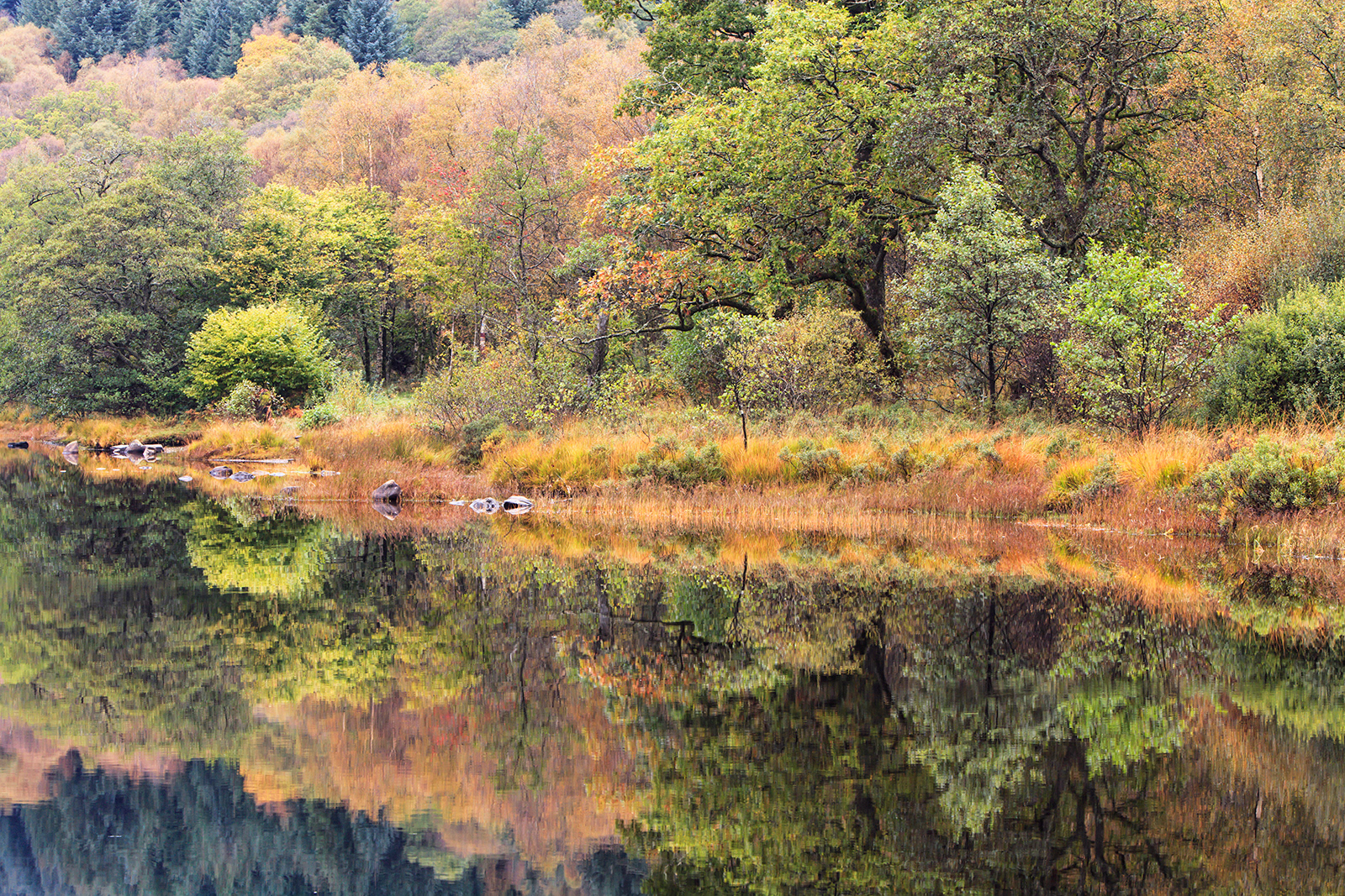 LOCH CHON