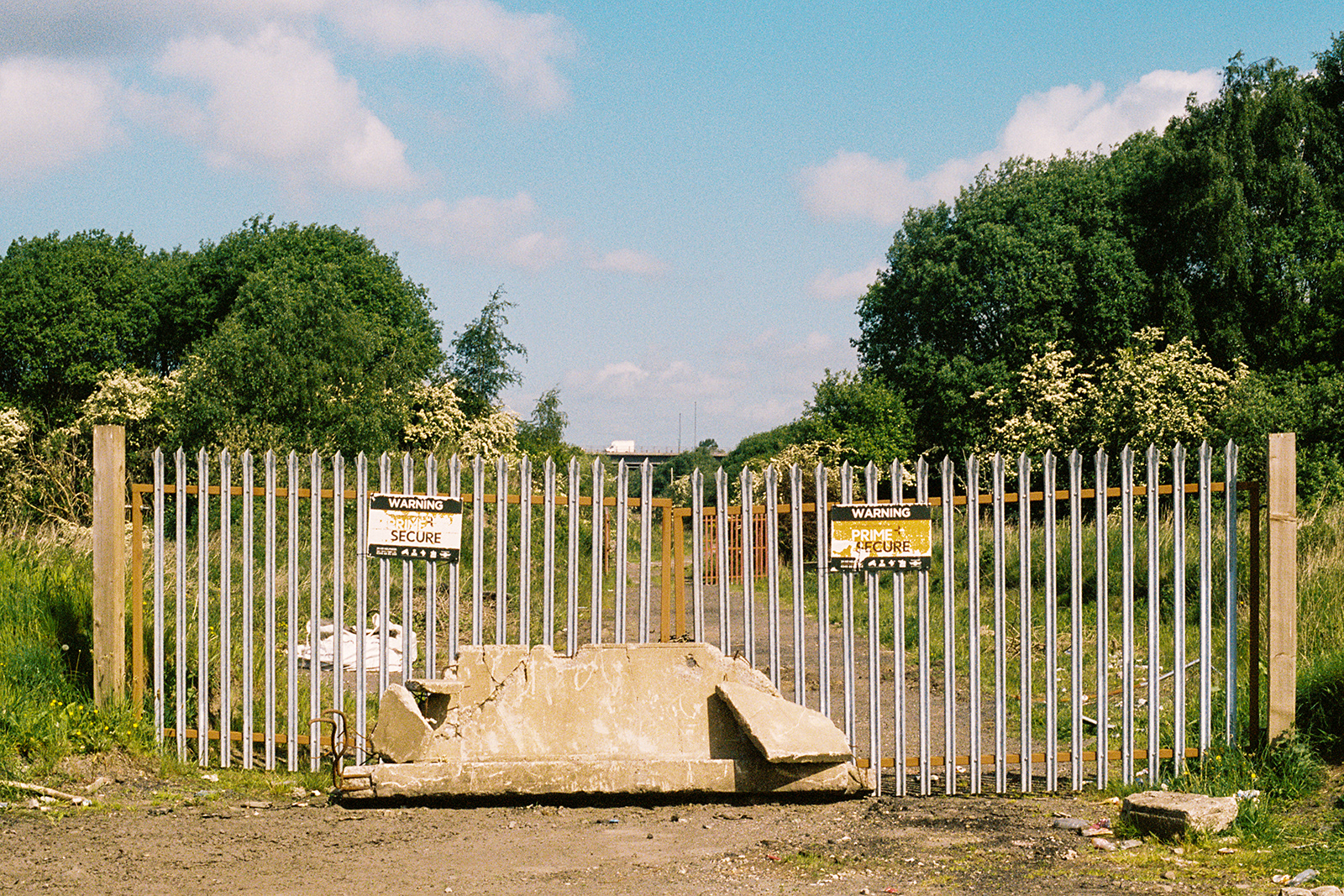 FERGUSLIE PARK