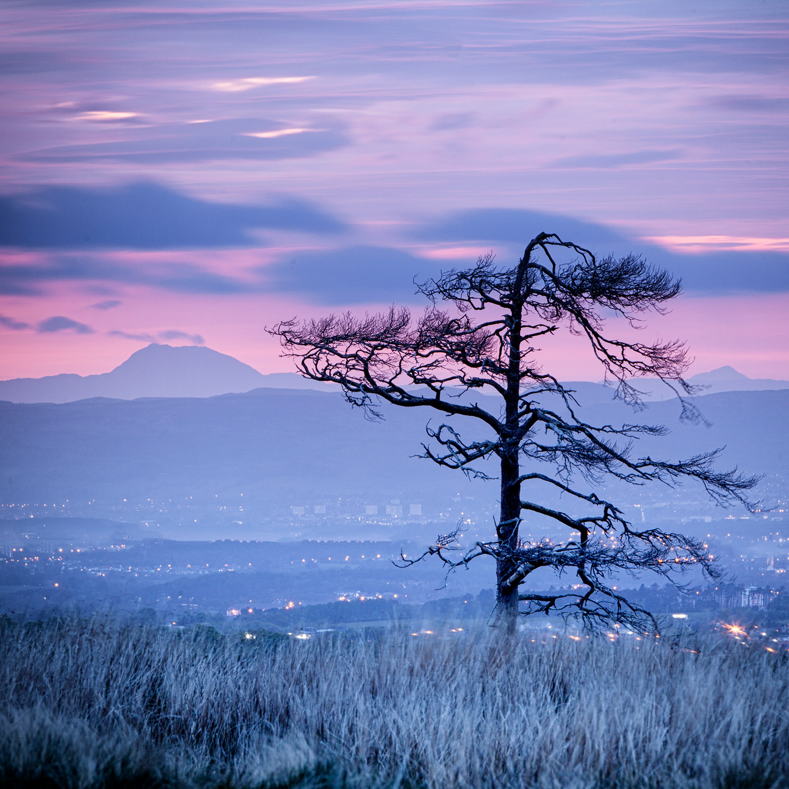 BONNYTON MOOR