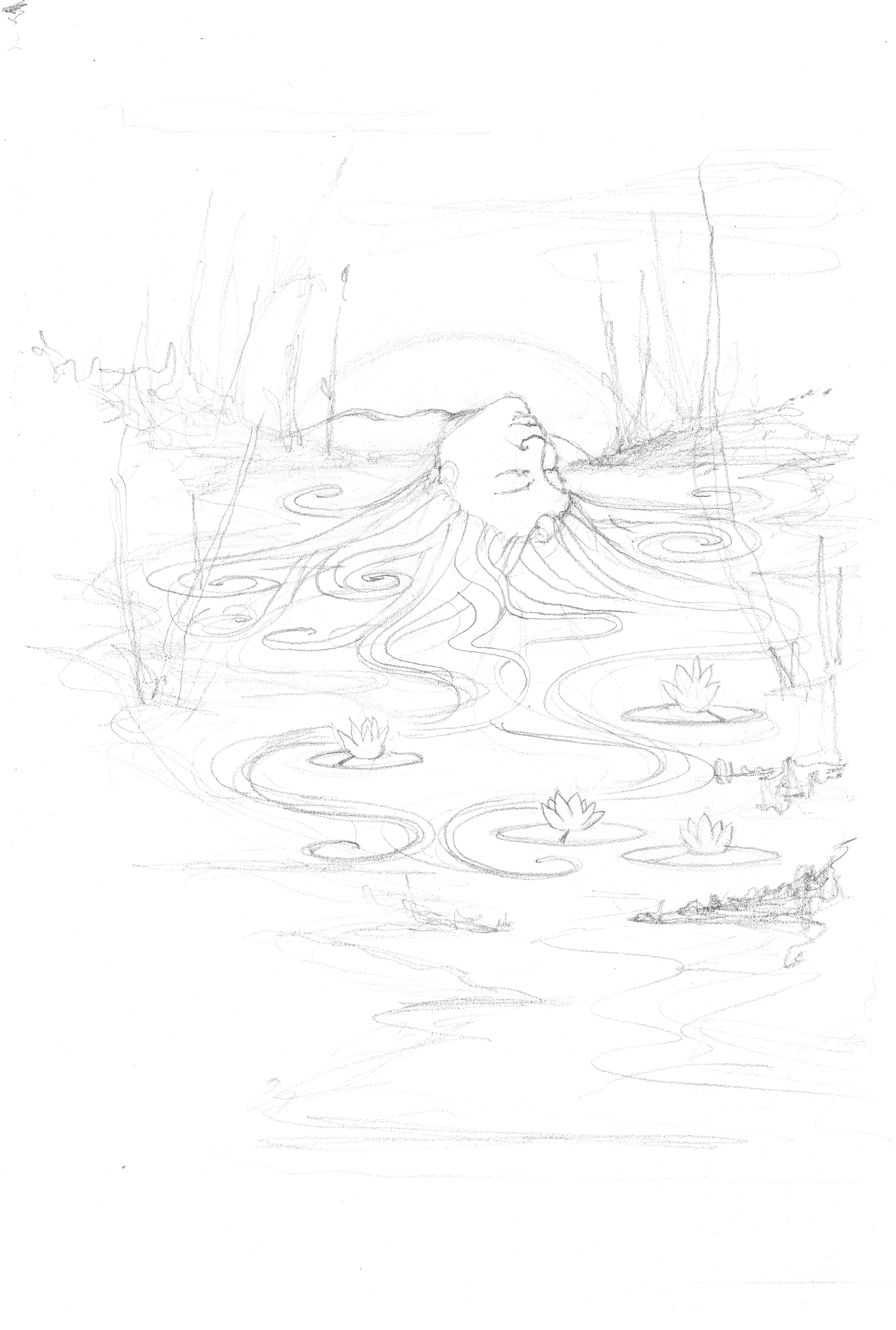 Rough sketch