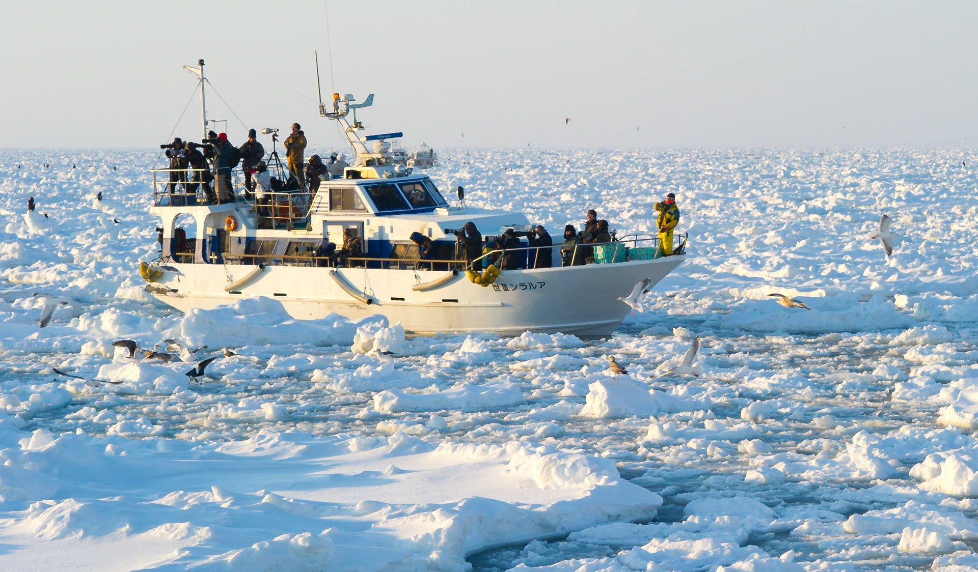 Typical eagle watching boat