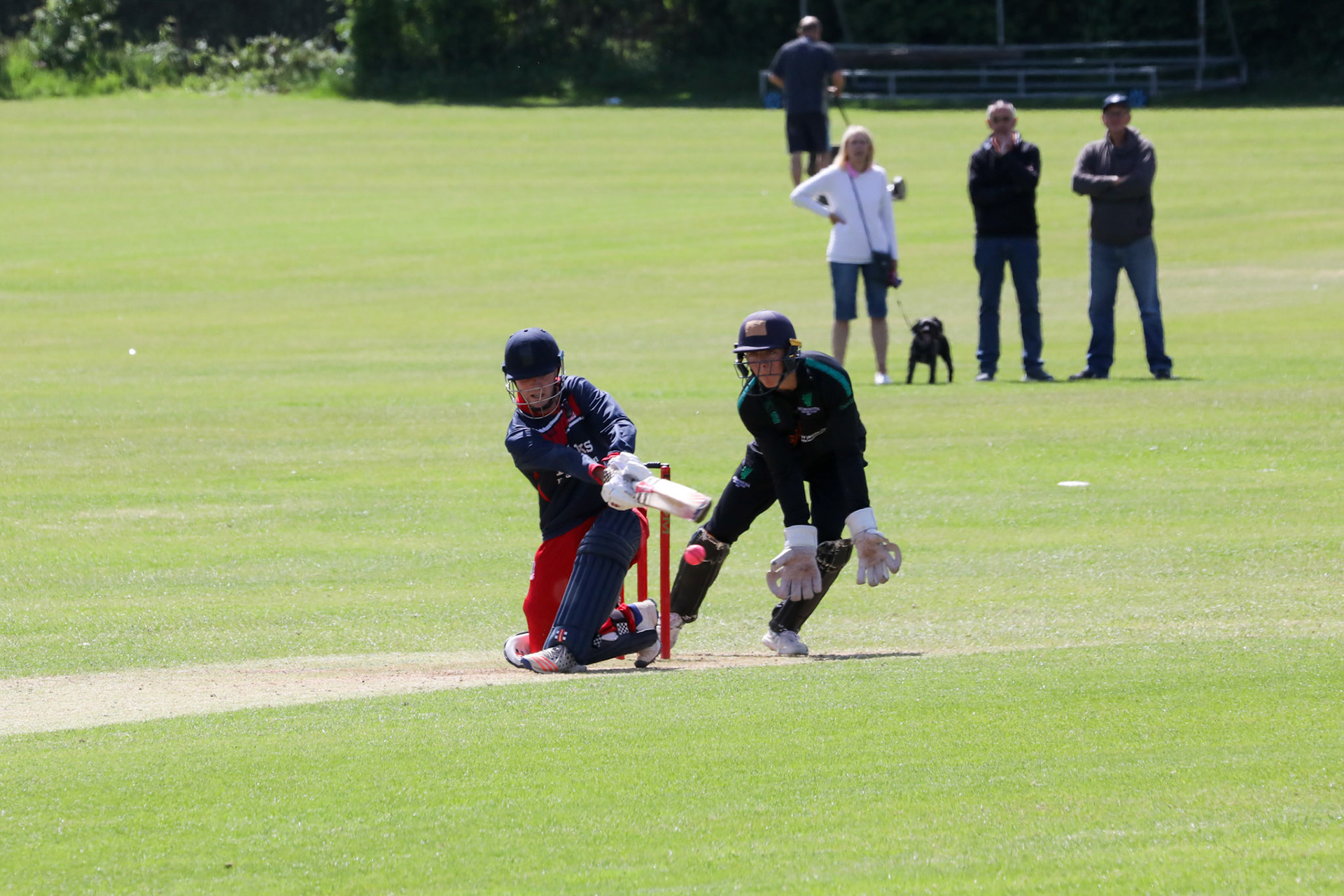 Bristol v Bedminster