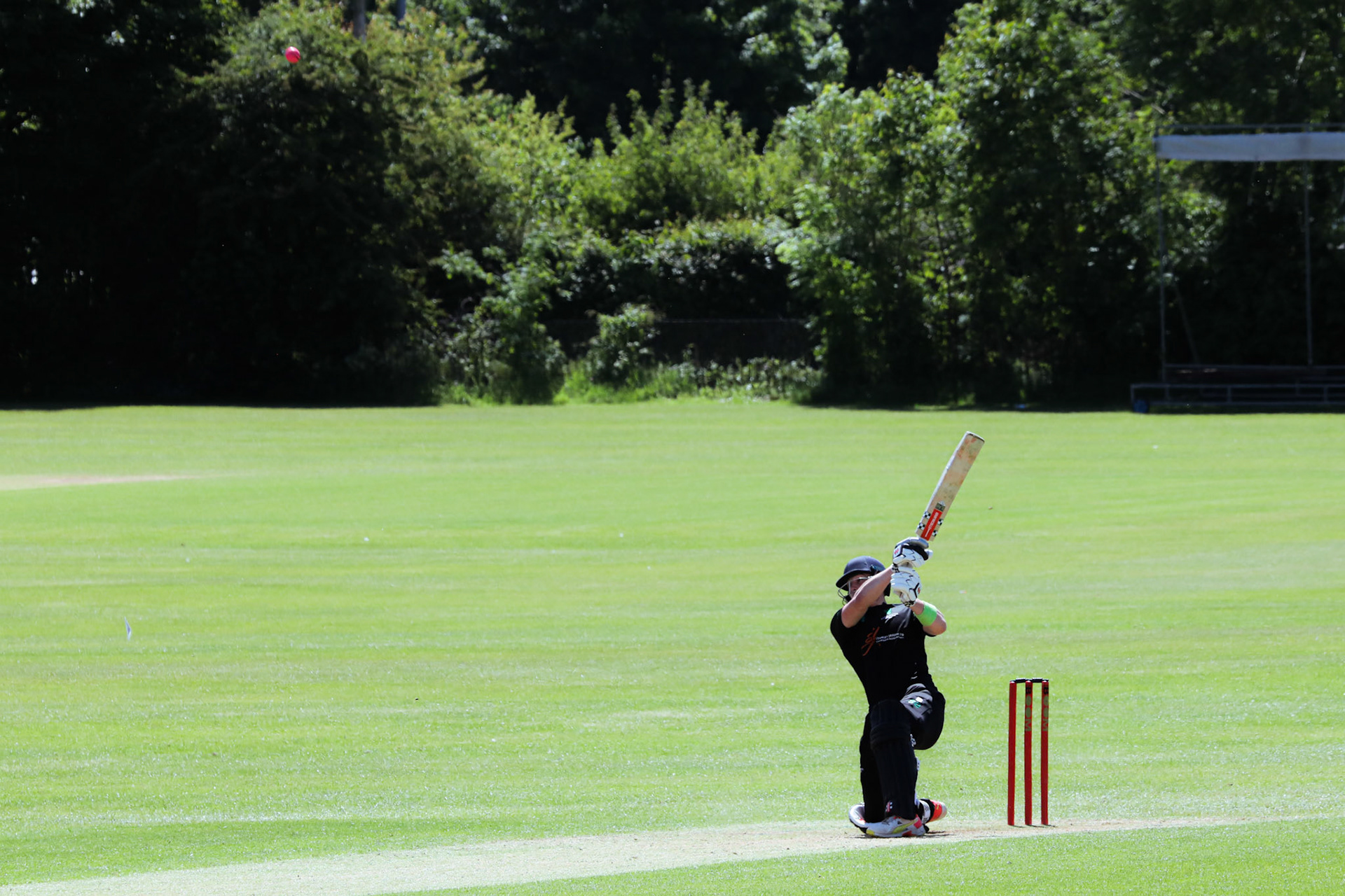 Bristol v Bedminster