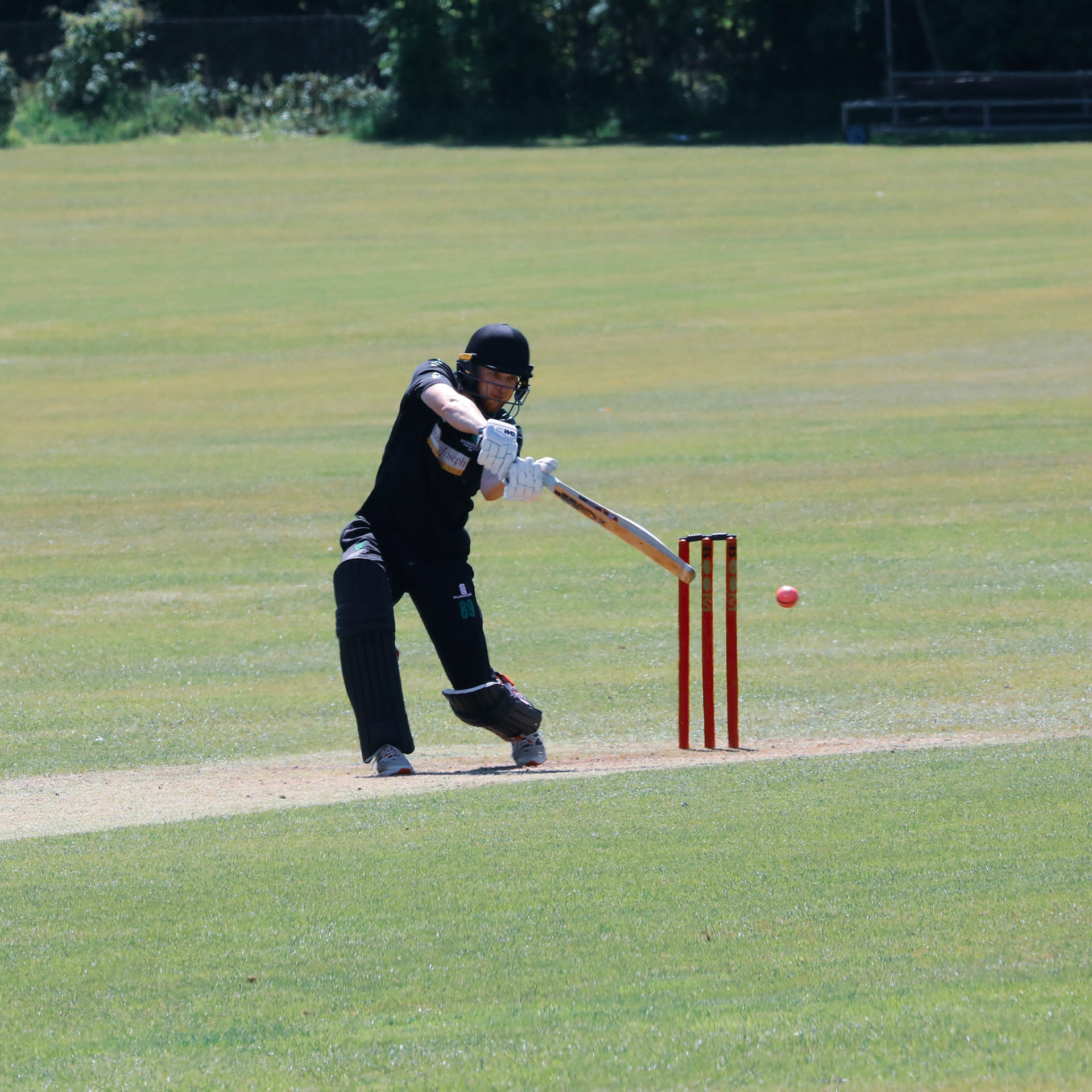 Bristol v Bedminster