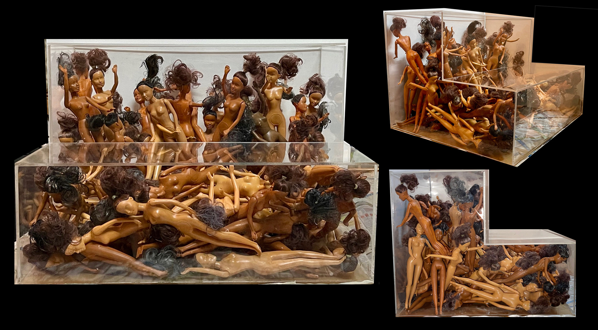 Stepping into Society: Installation