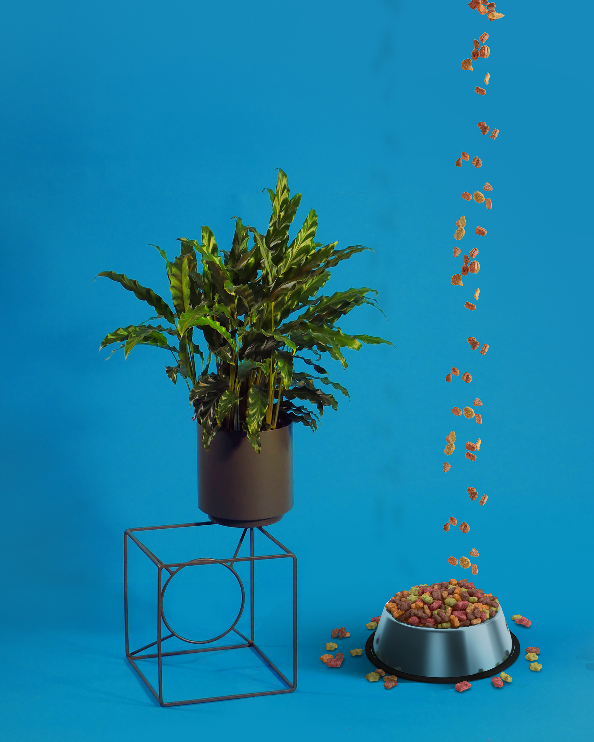Client | my : : garden.
