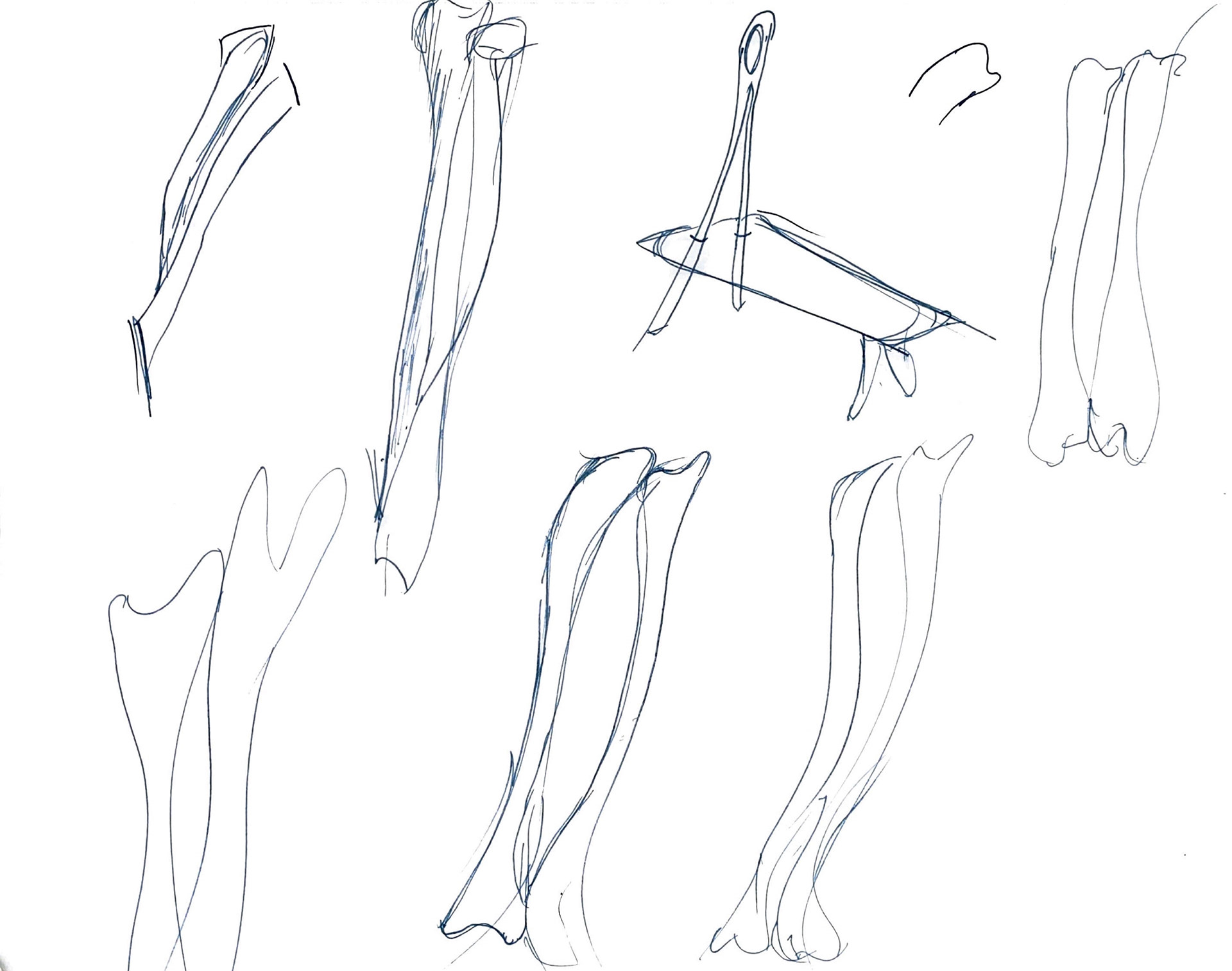 Exploring "Ulna and Radius"