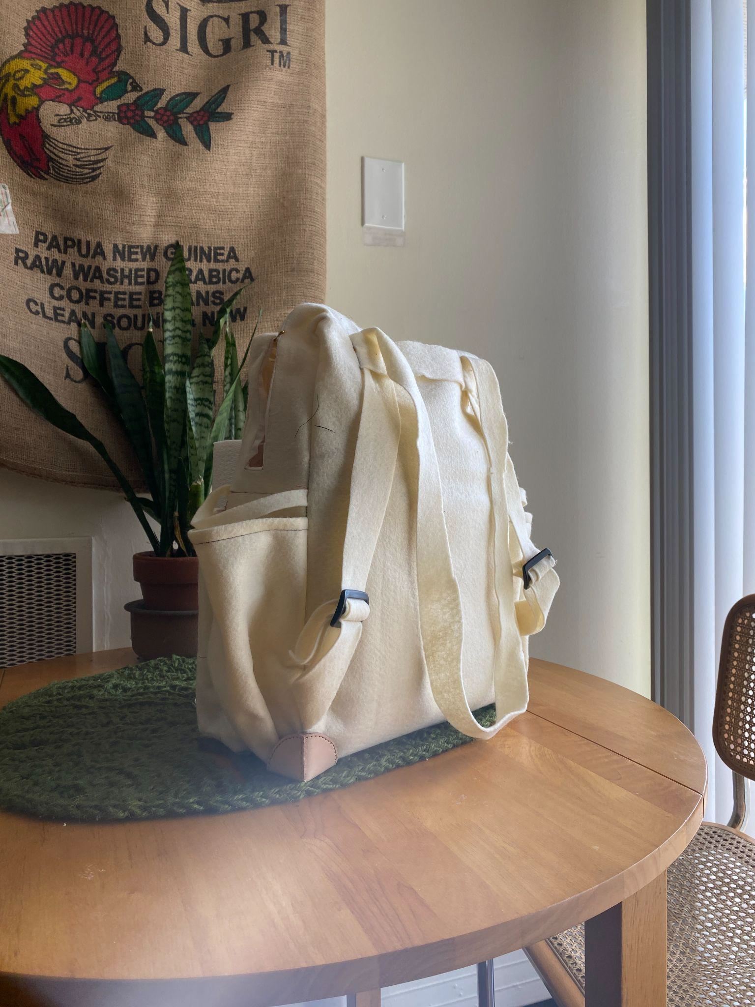 Felt Prototype II Back