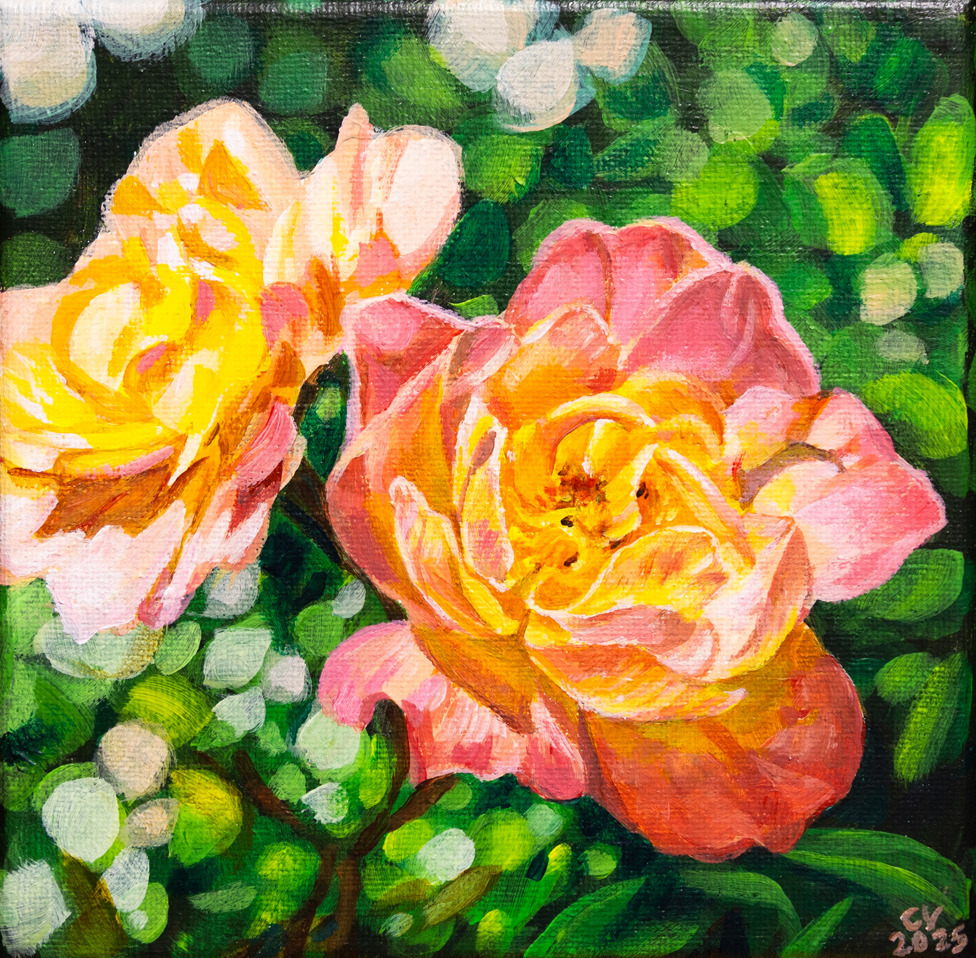 Two-toned - 6"x6" acrylic on canvas. Available