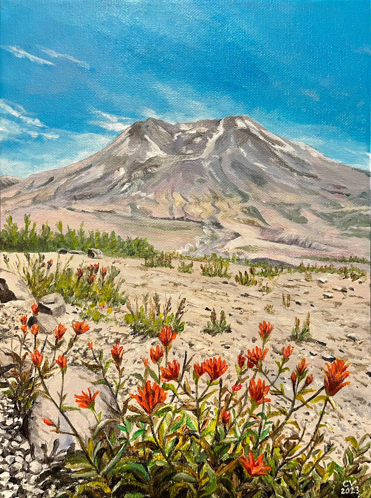 Flowers at St. Helens - 9x12", acrylic on canvas, gallery wrapped. Available