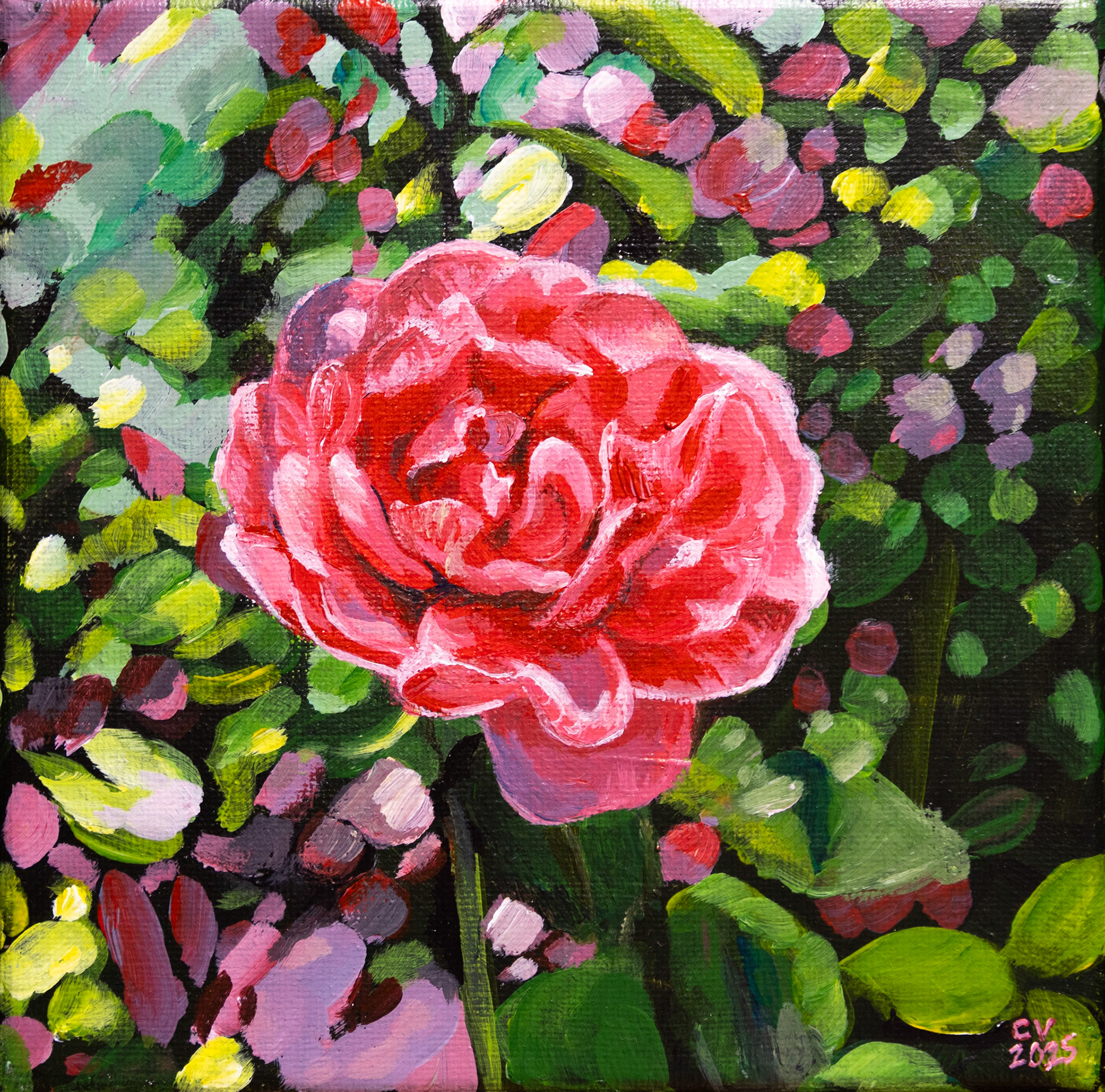 Pretty in Pink - 6"x6" acrylic on canvas. Available
