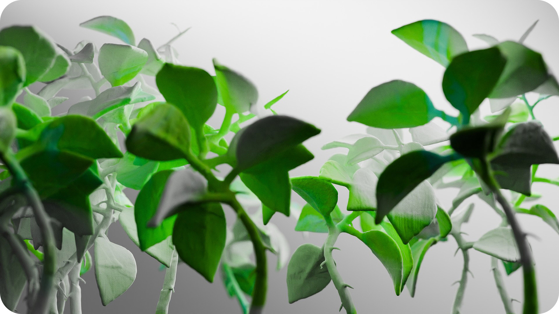 sculptural-growth-shot-1