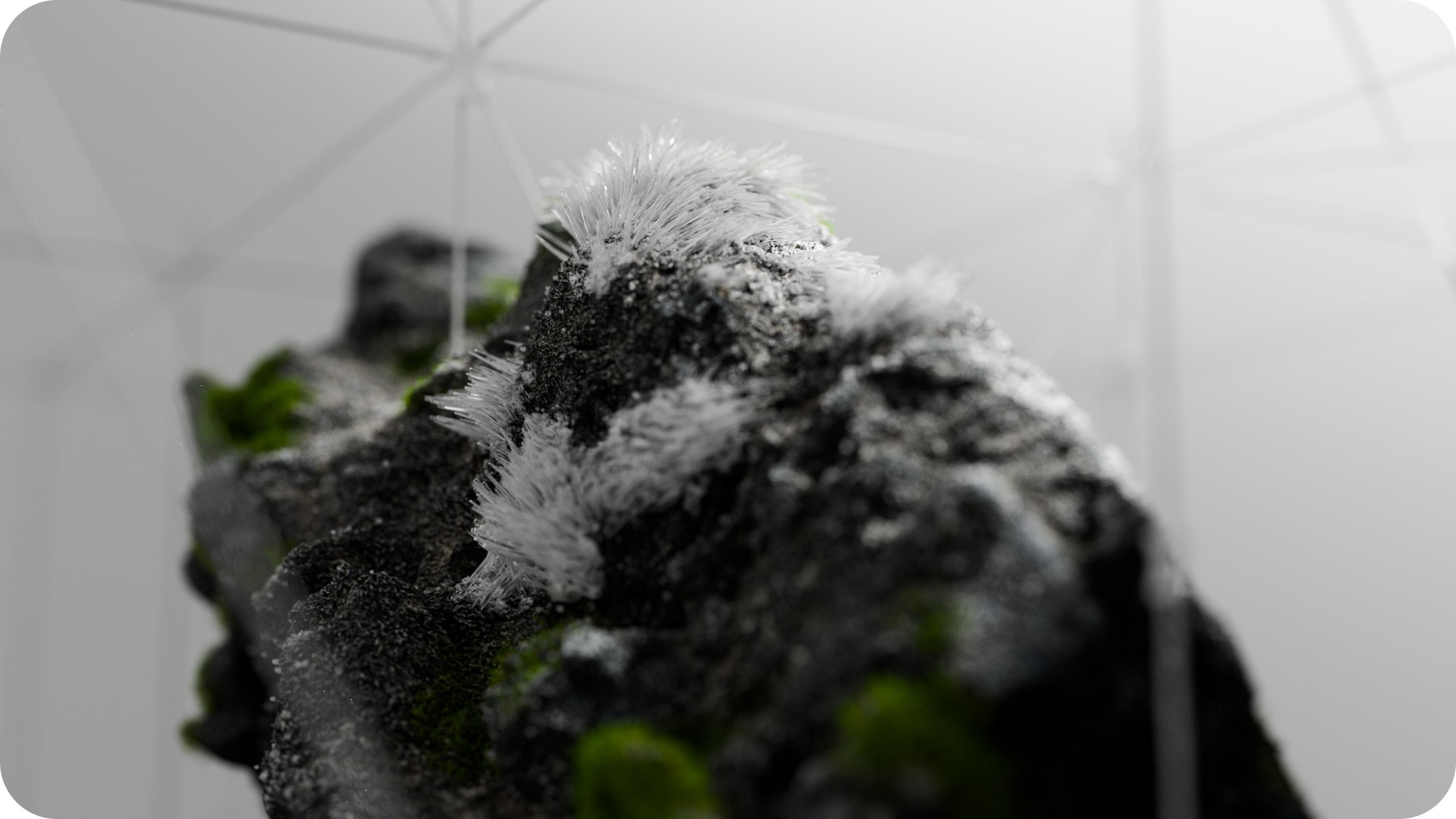 breeze-gallery