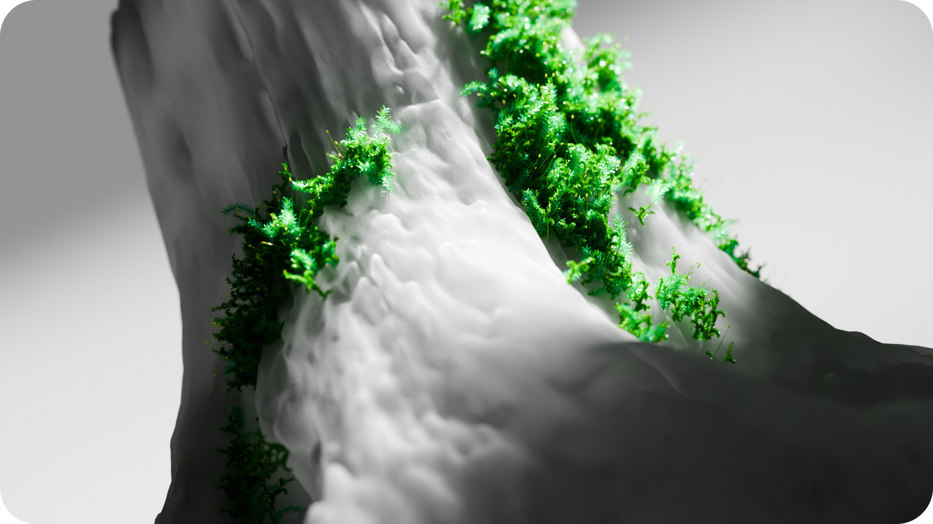 new-growth-shot-3