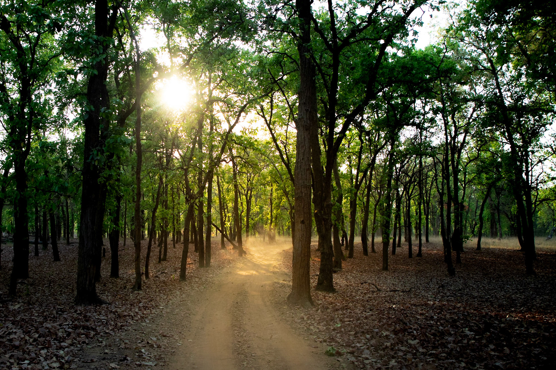 Entering Bandhavgarh