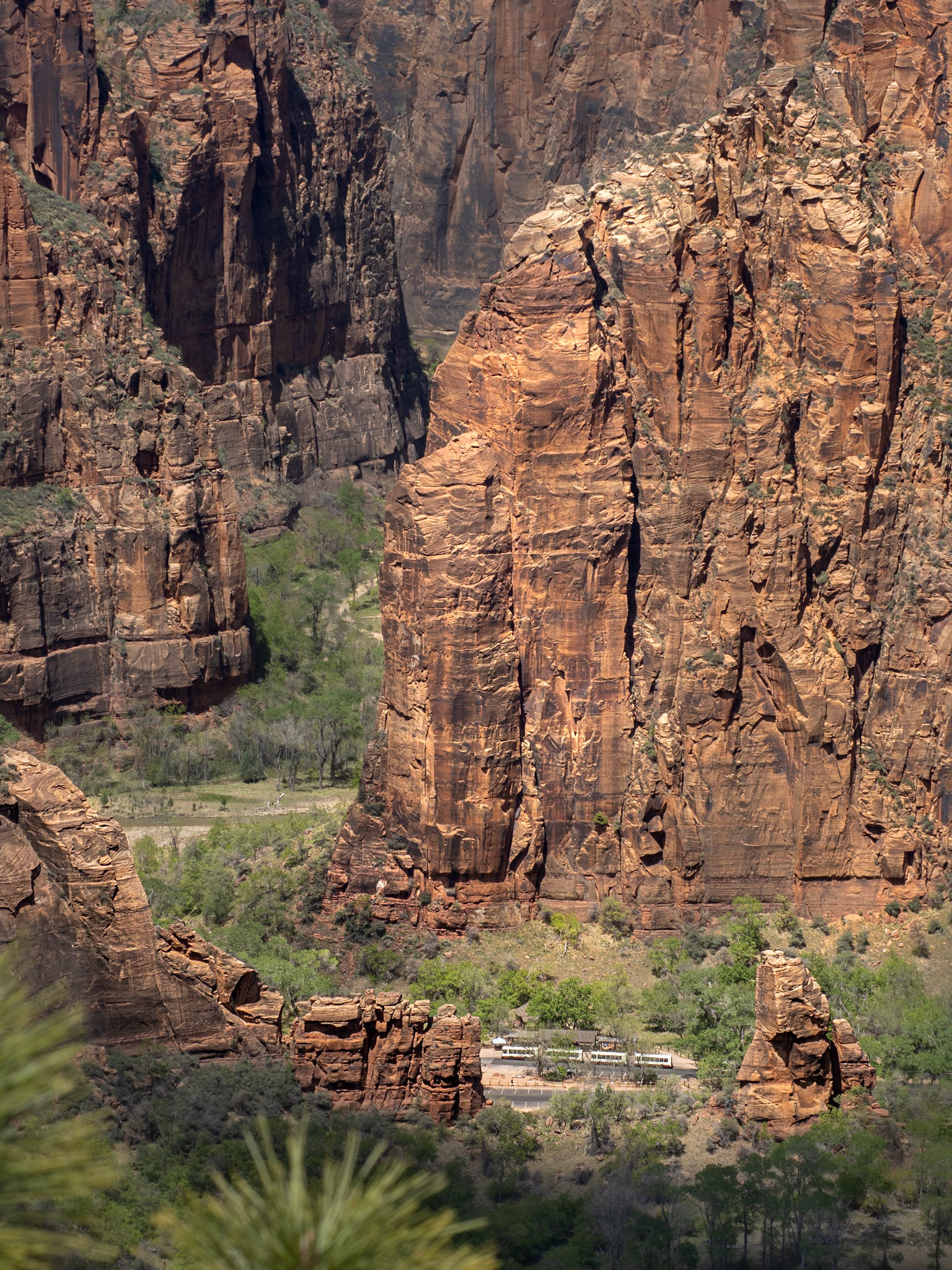 Zion's main canyon