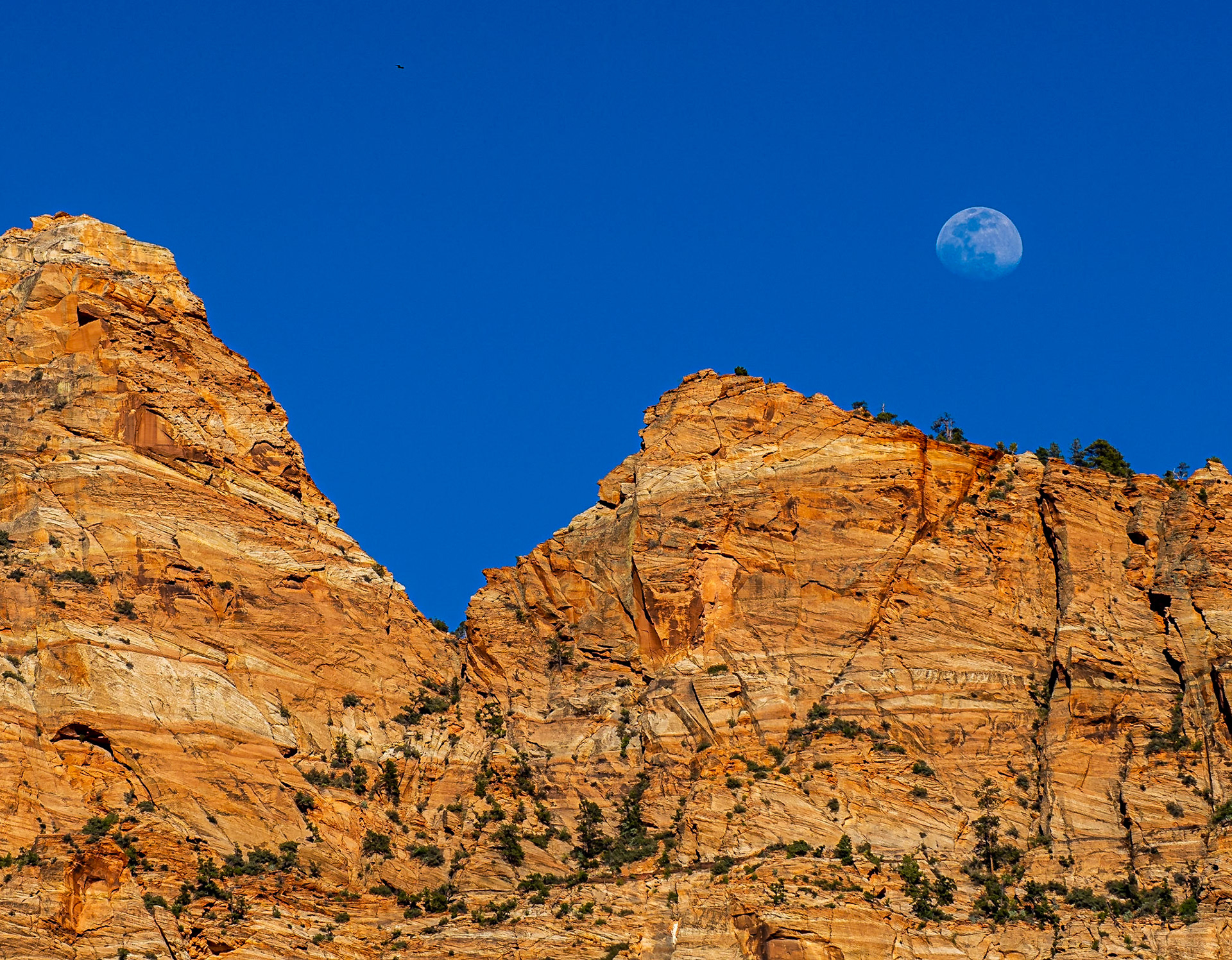 Moonrise over the cliffs
