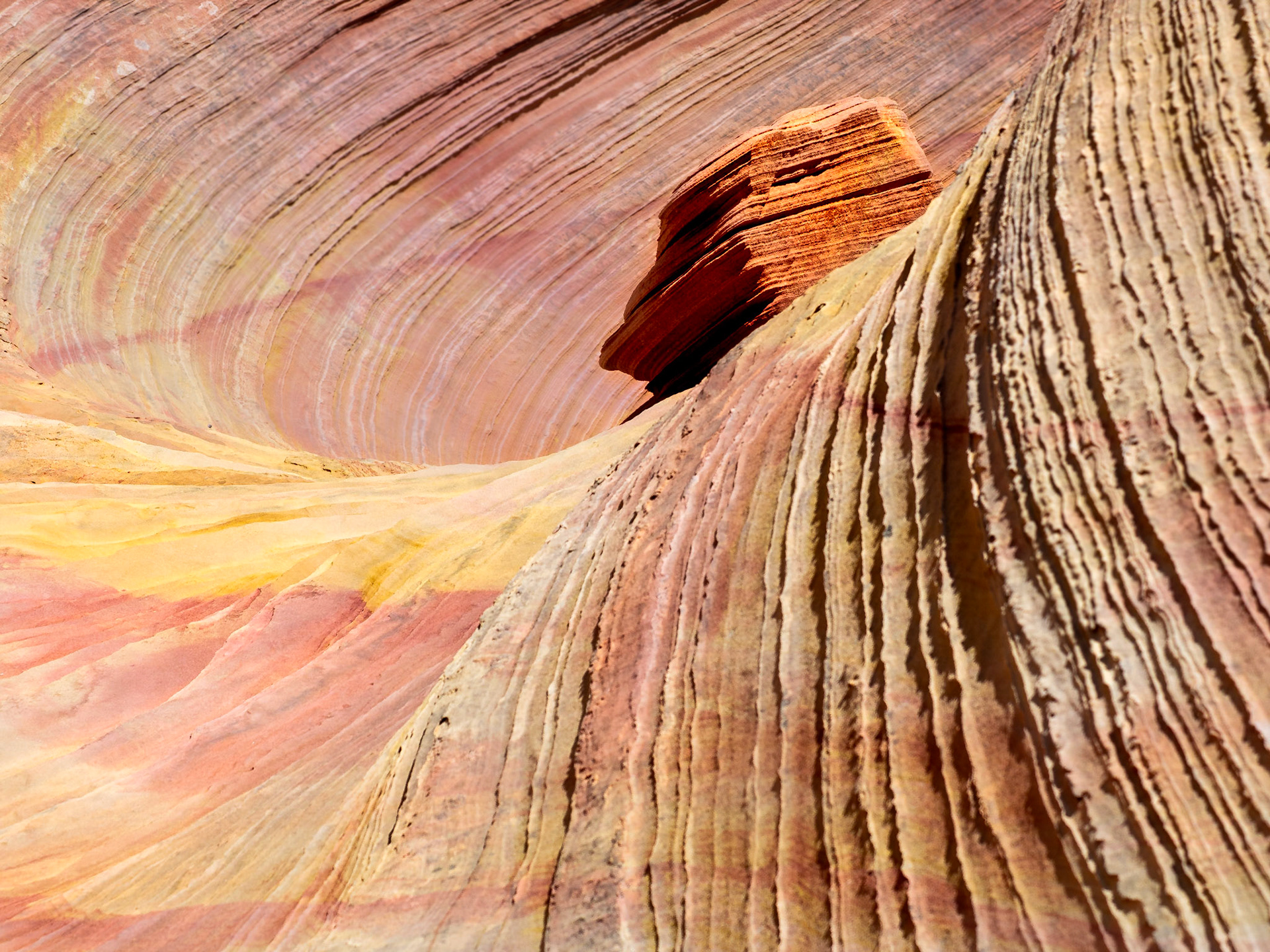 The "Southern Wave"