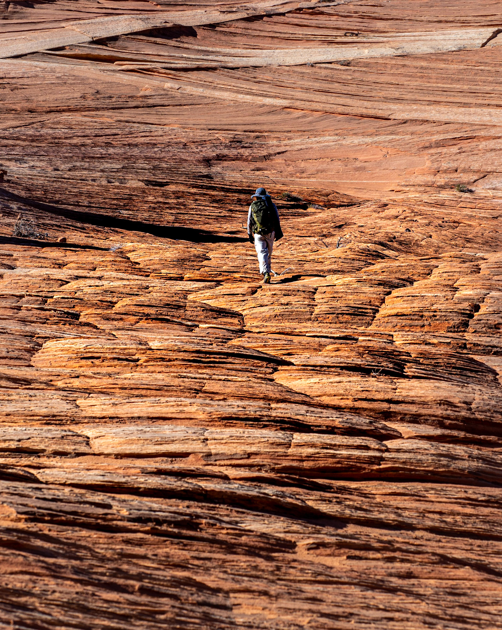 Sandstone fields