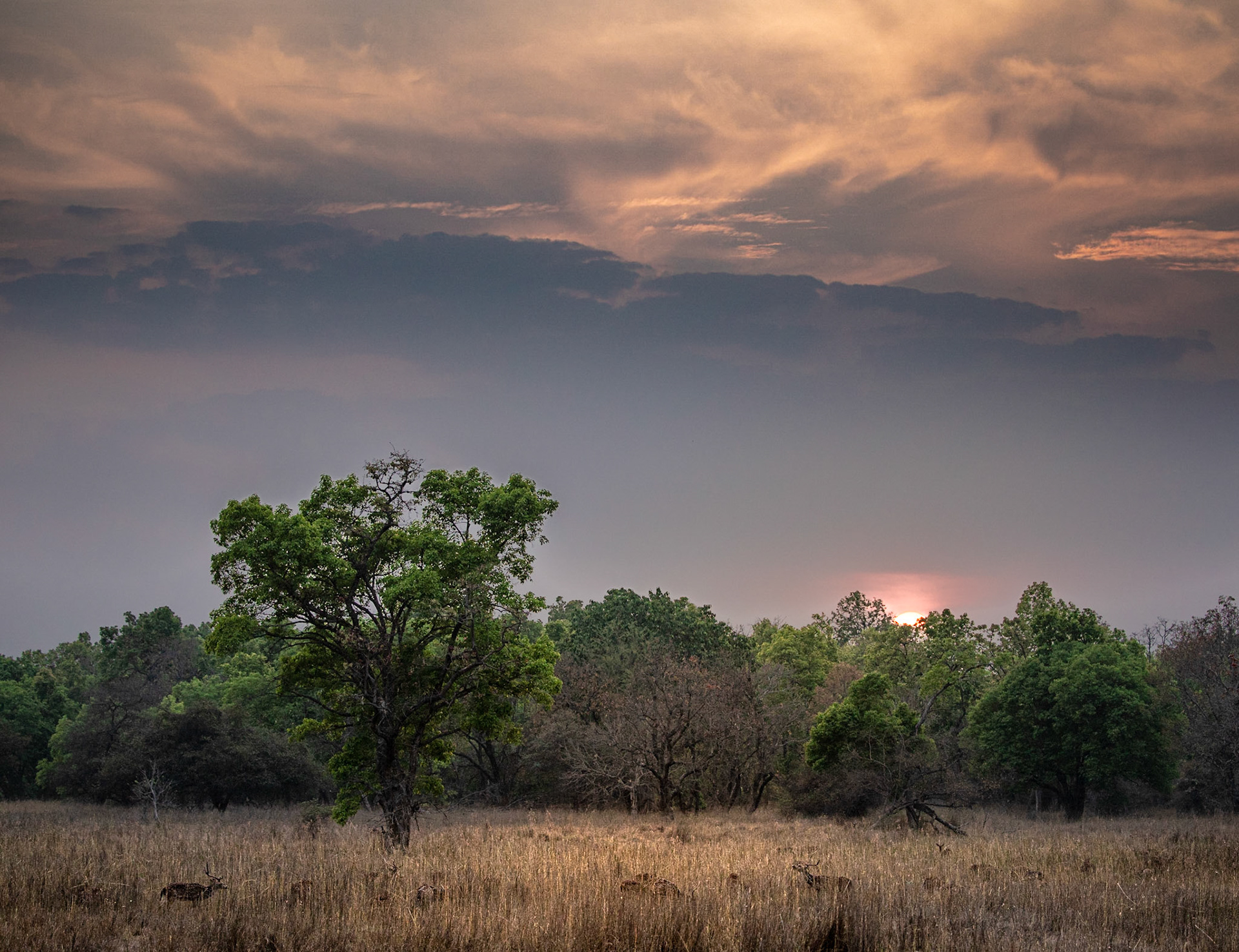 Sunset over the valley