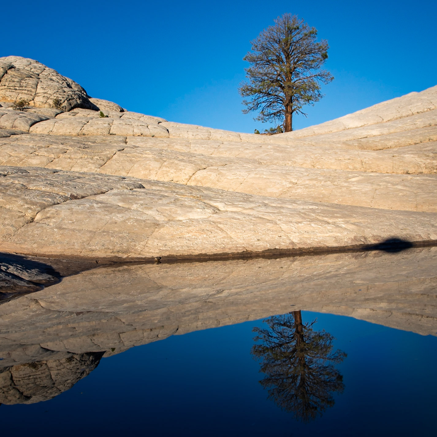 Water occasionally pools at White Pocket