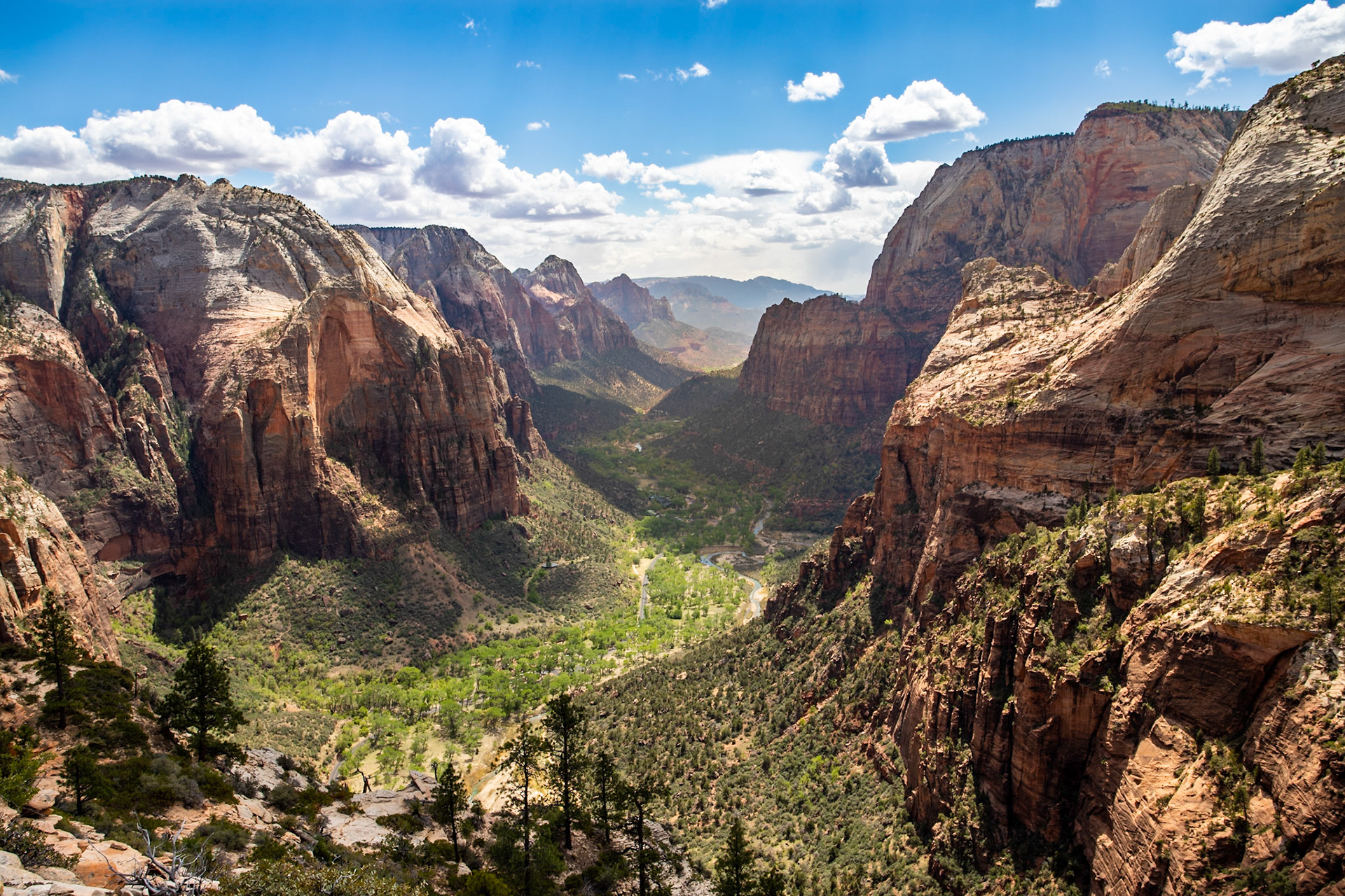 The view from Angel's Landing