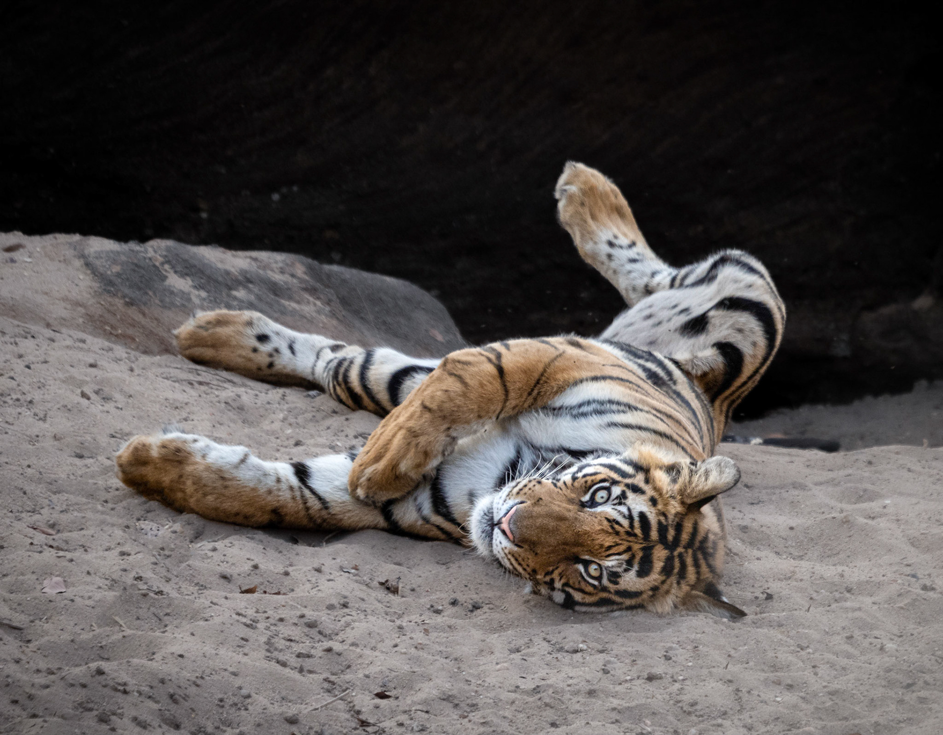 Morning yoga