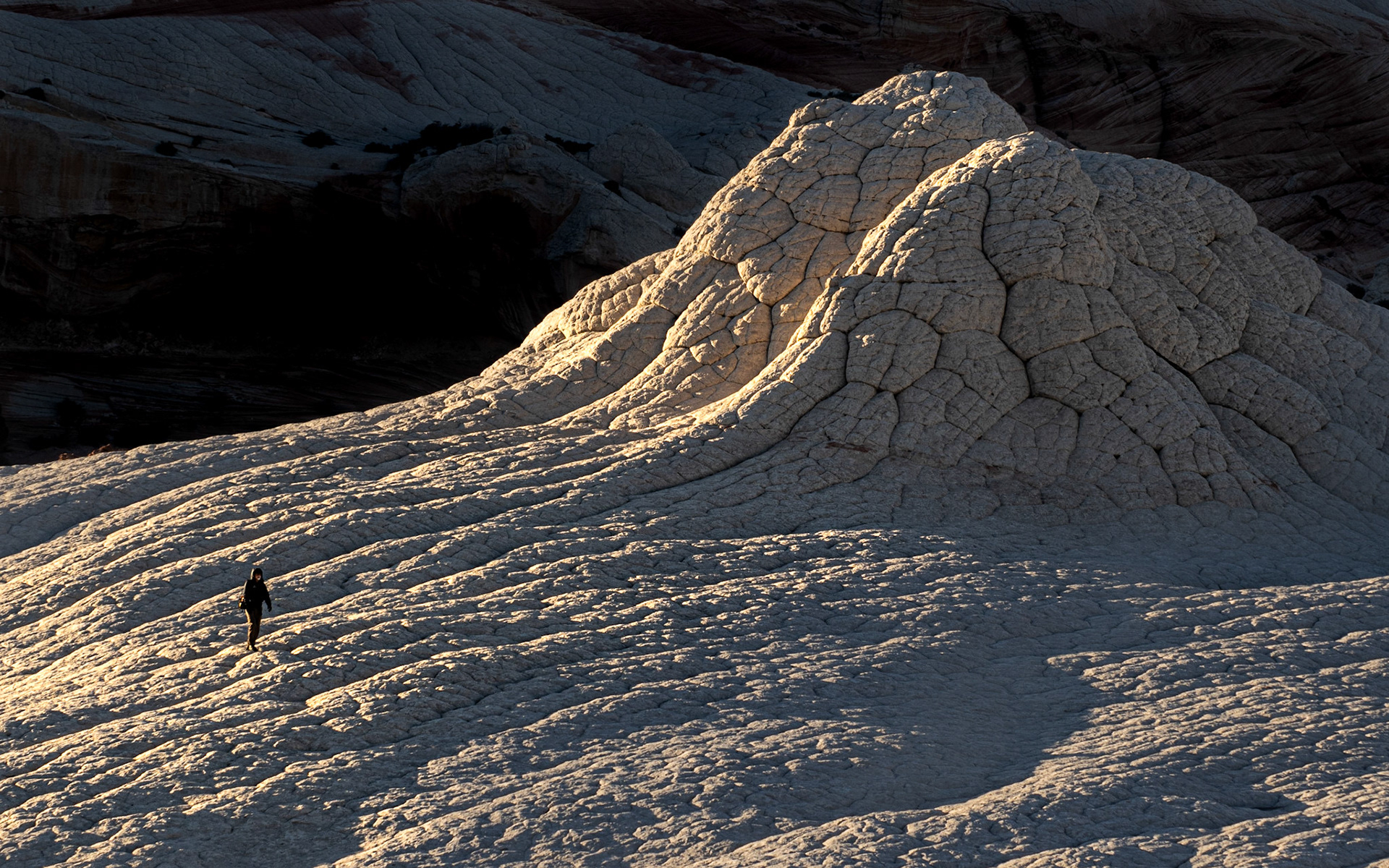 White Pocket's dunes