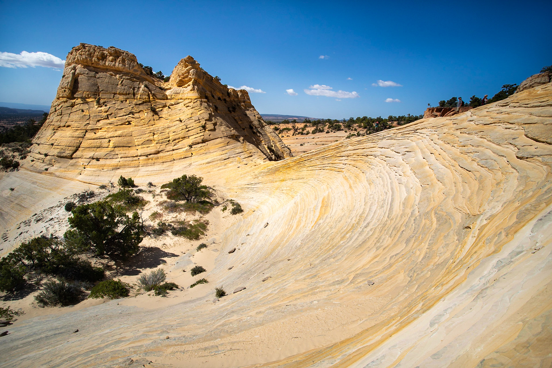 The "White Wave" and its rock formation