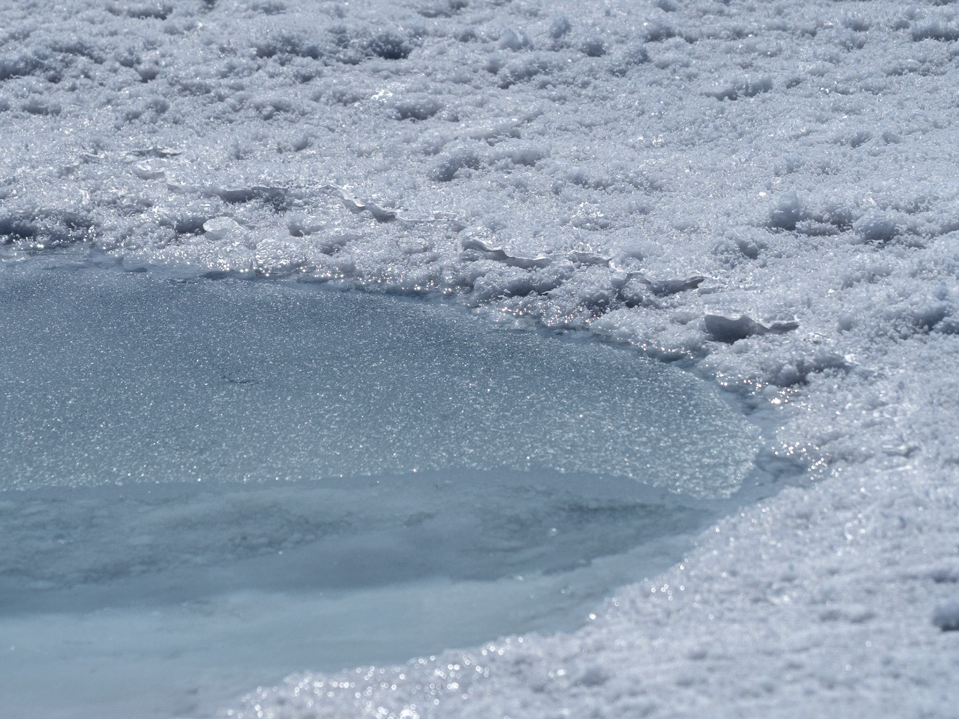 Salt pool