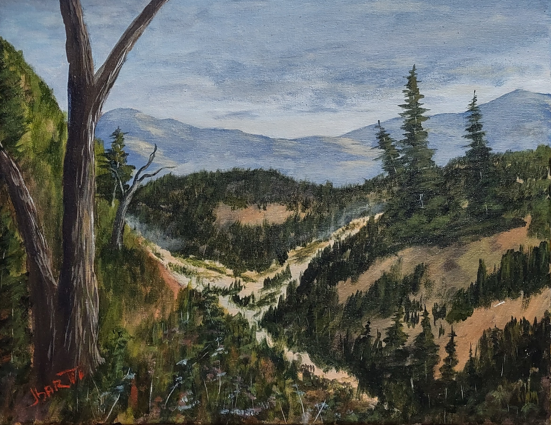 2024-46 16x20 Acrylic